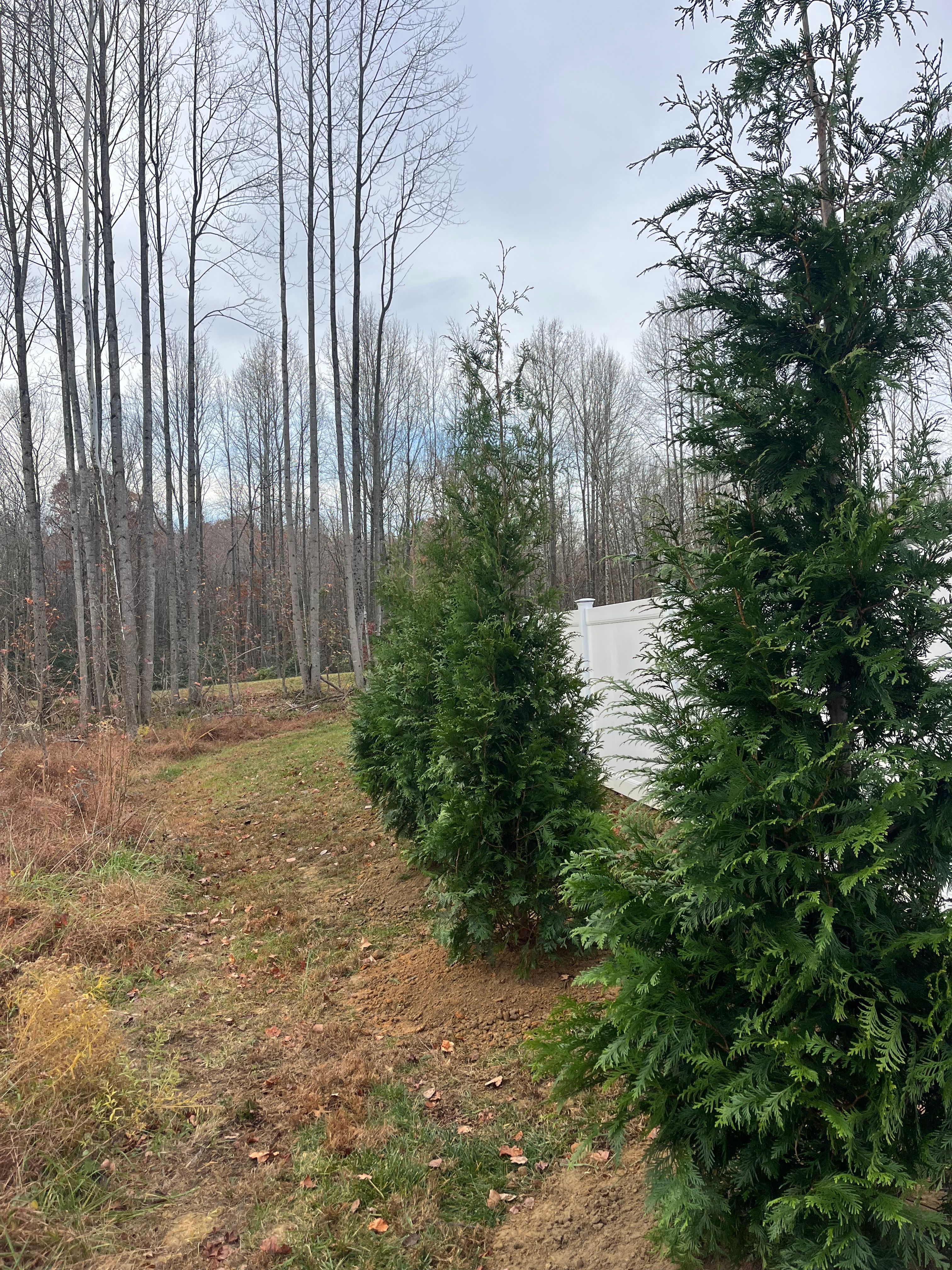  for Atlas Home Services in Mechanicsville, VA