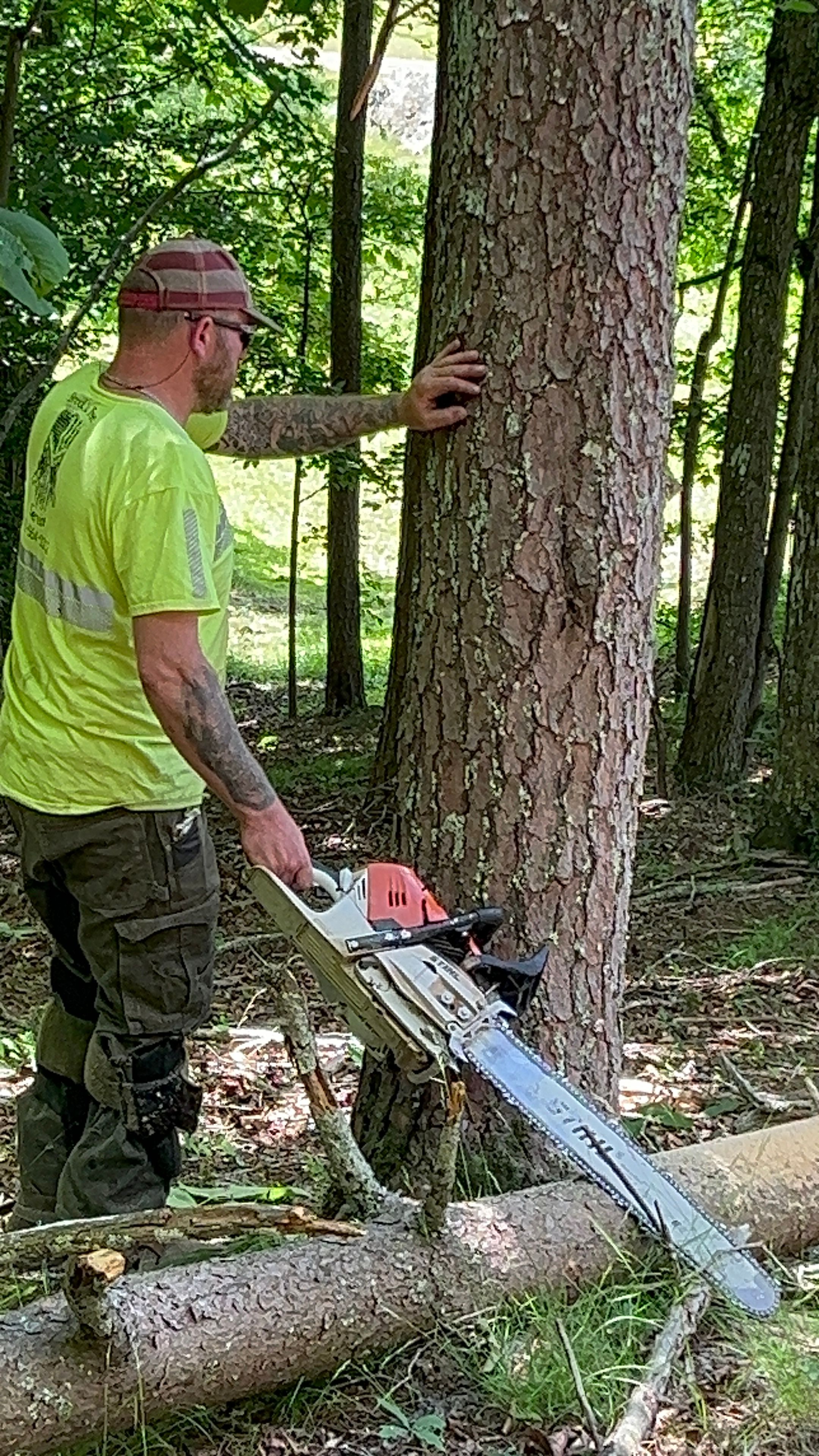  for Brocks Tree Service LLC in Rogersville, TN