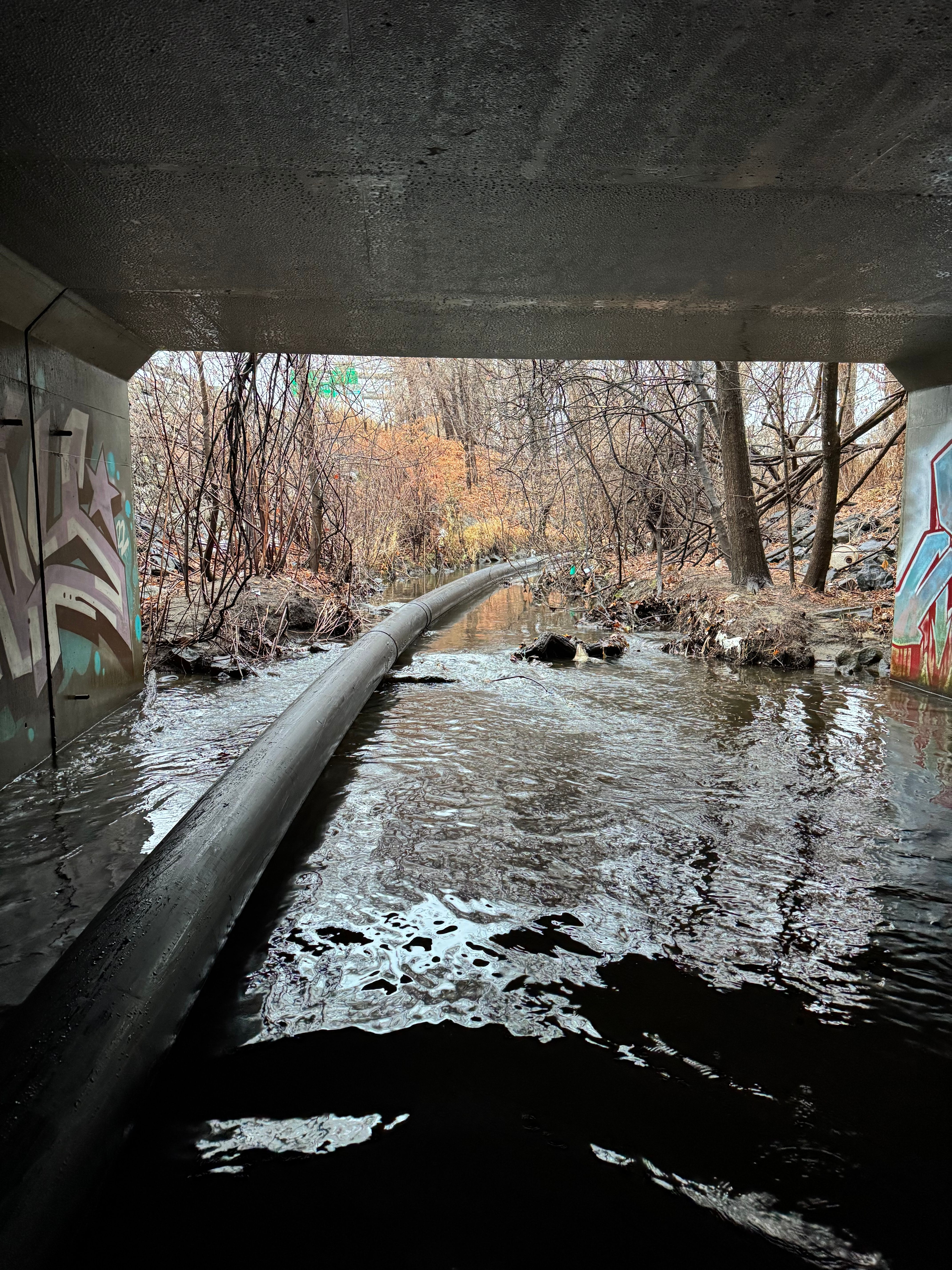  for Jack Of All Blades in Windsor County, VT