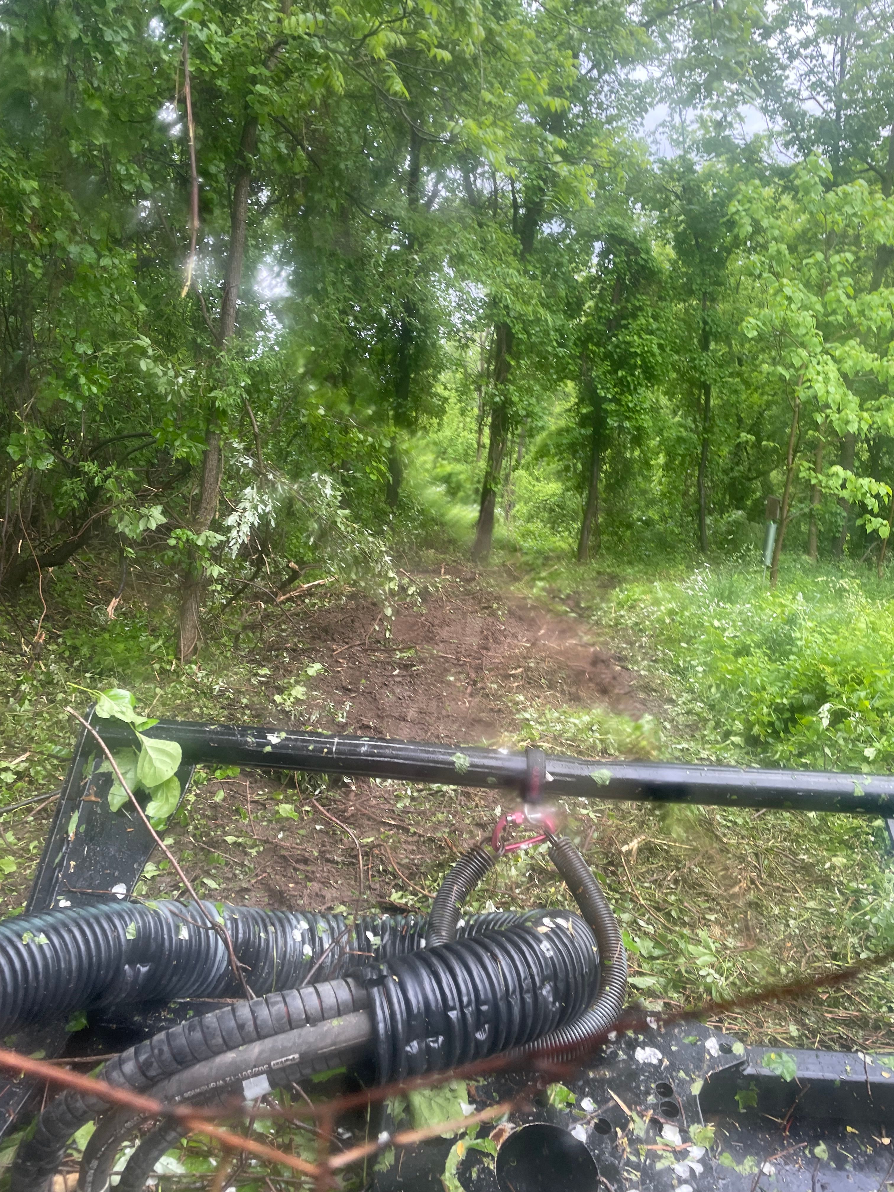  for TMF Services in Lapeer County, MI