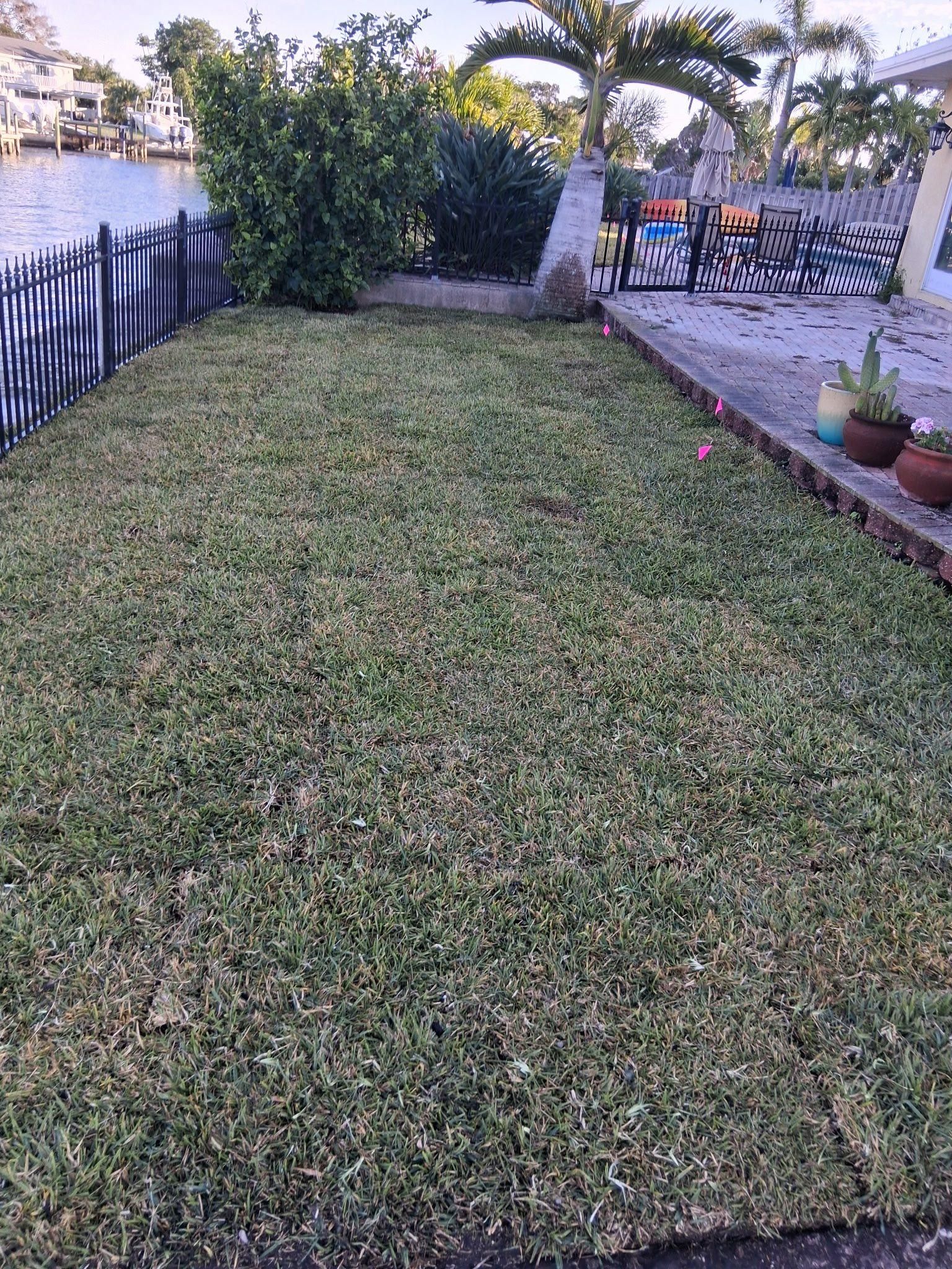  for Gulf Bay Sod in Clearwater, FL