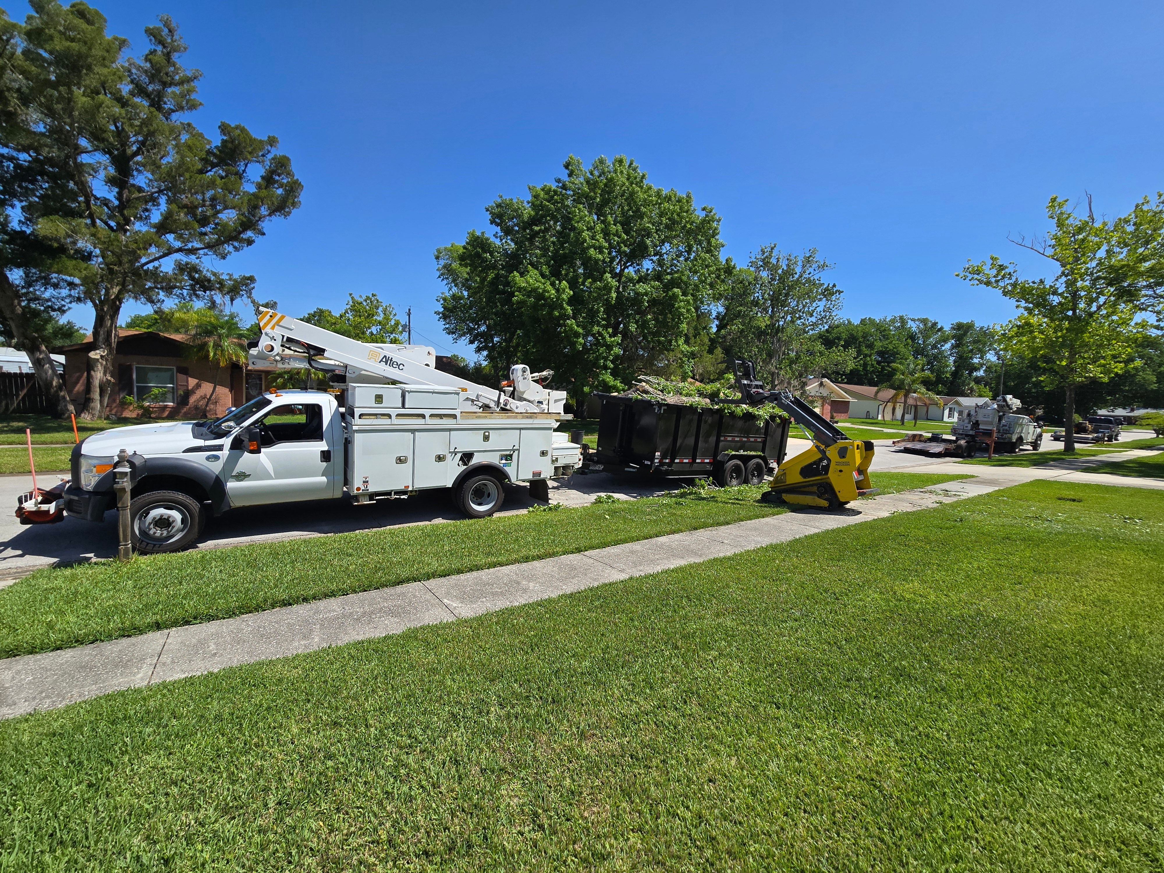 All Photos for Near Me Tree Service, Inc. in DeLand, FL