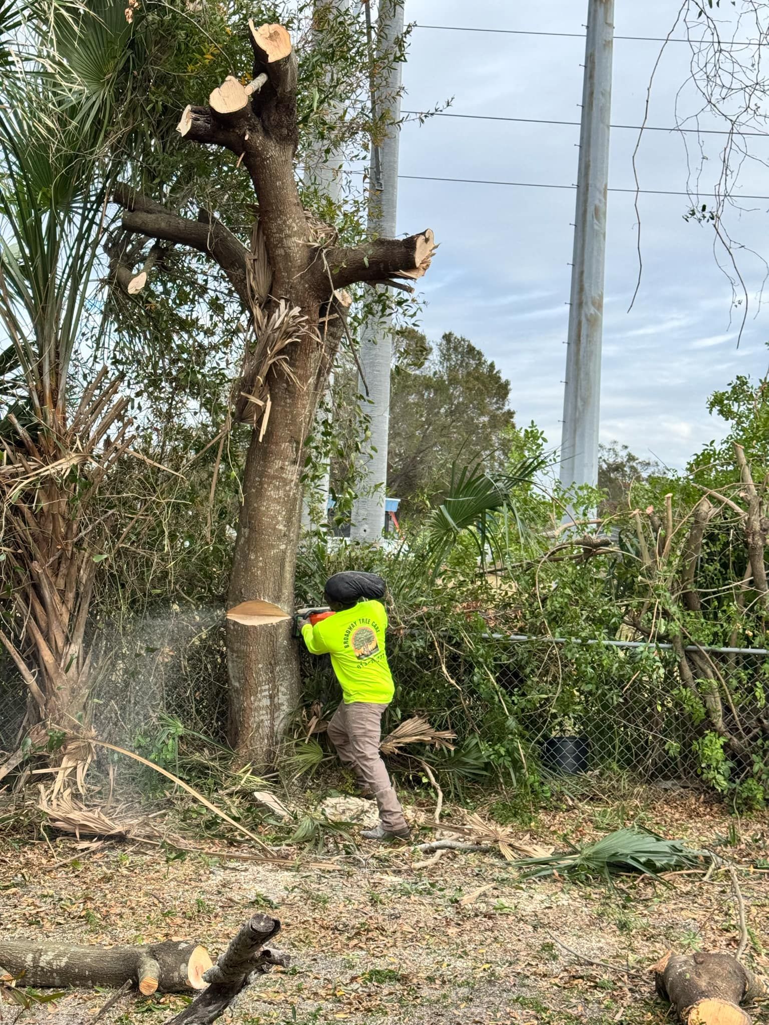  for Broadway Tree Care in Inverness, FL