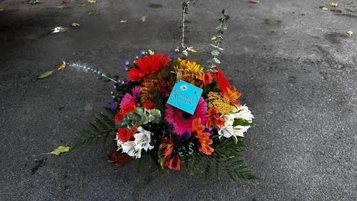  for The Dailey Daisy in Hardwick, VT