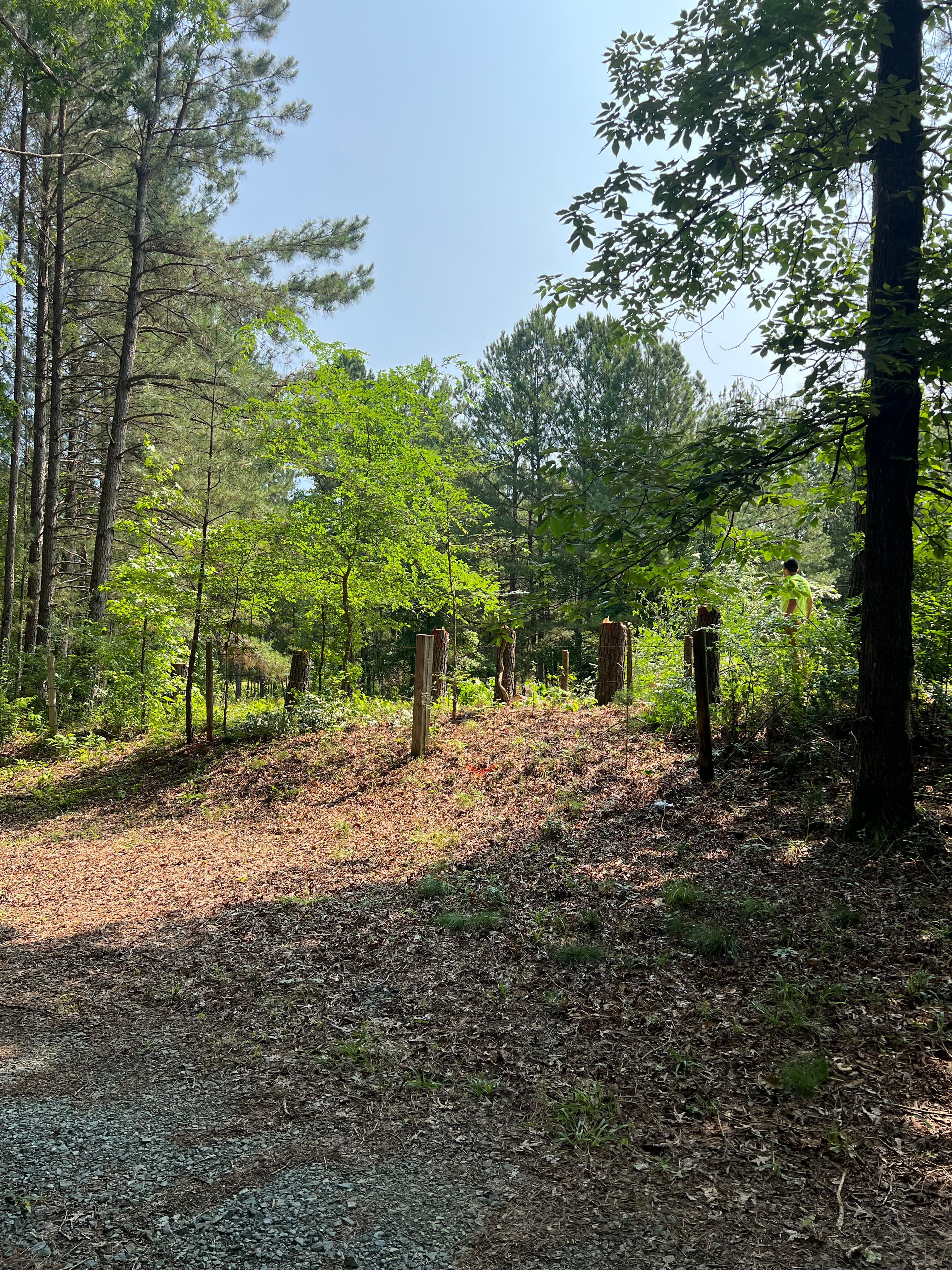 All Photos for NC Property Works, LLC in Johnston County, NC