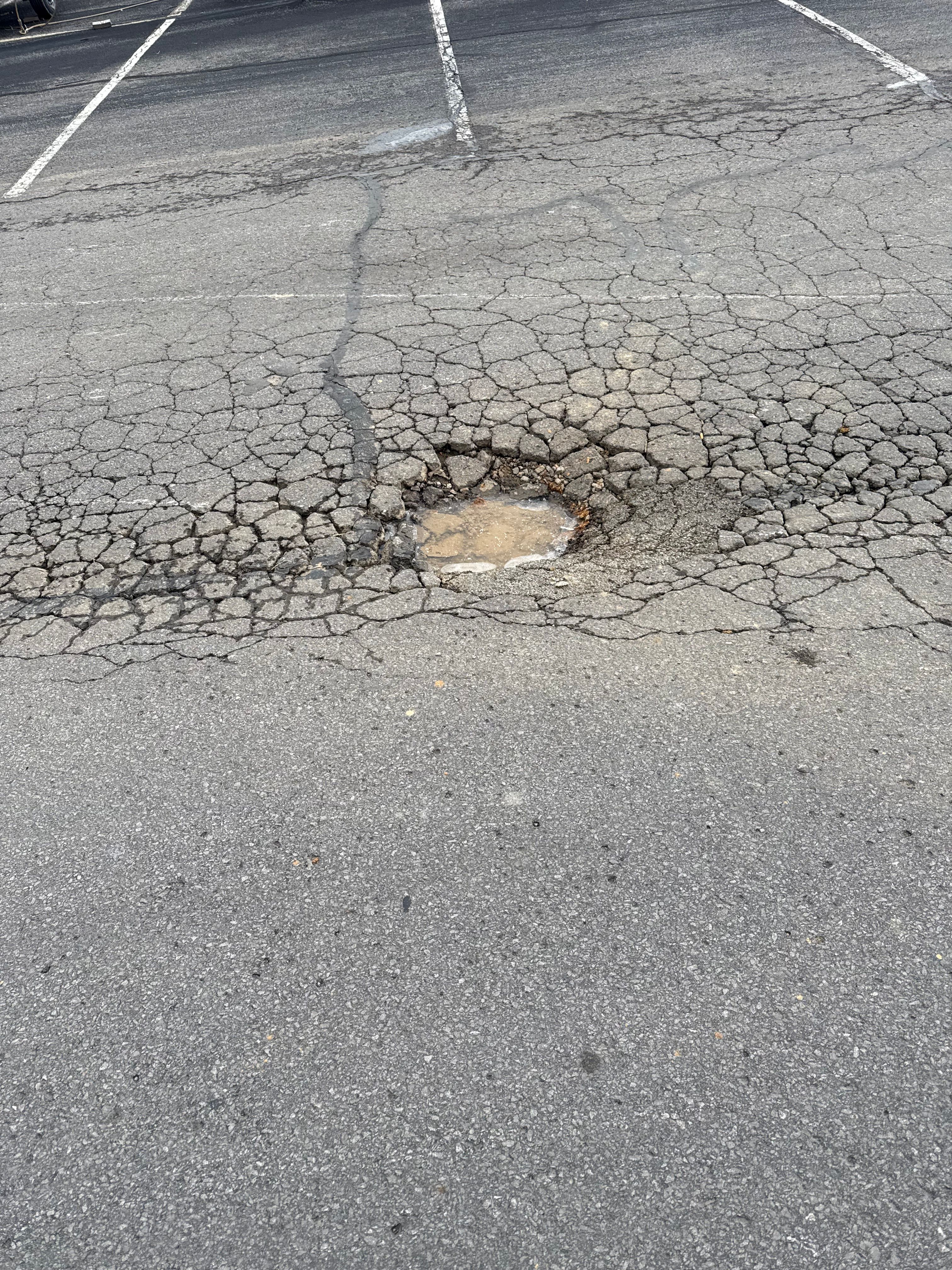  for Cardwell's Contracting in Bowling Green, KY