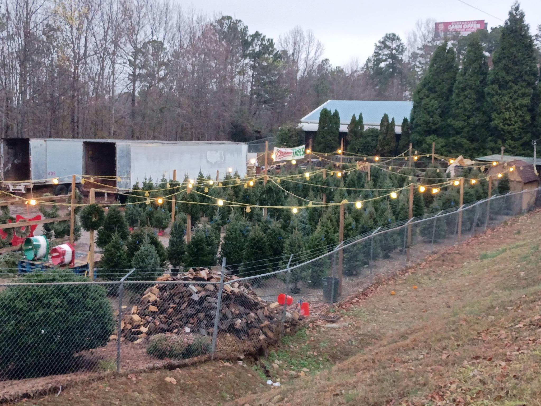 All Photos for BAM Another Pinestraw Lot in Flowery Branch, GA