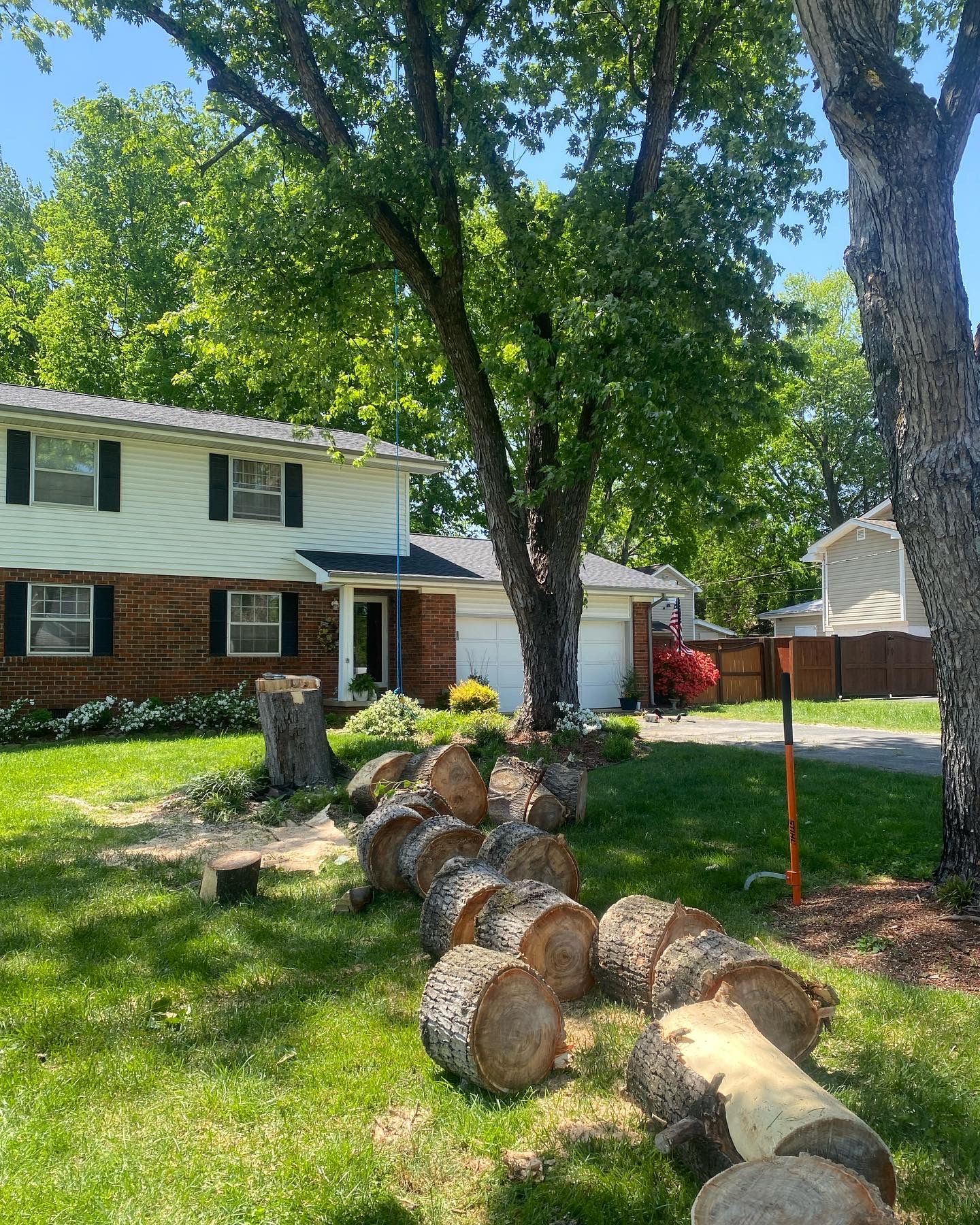  for Professional Tree Service USA in Chattanooga, TN