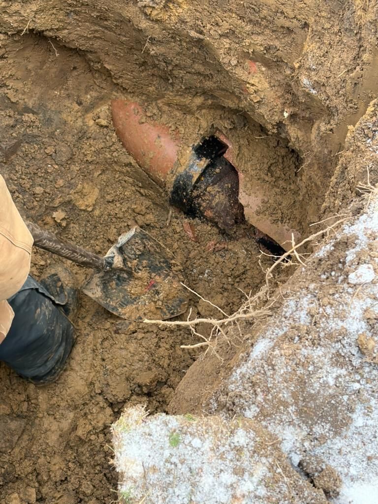  for The Drain Force in Cleveland, OH