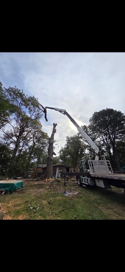  for Alexander's Tree Service  in Newburg,  MD