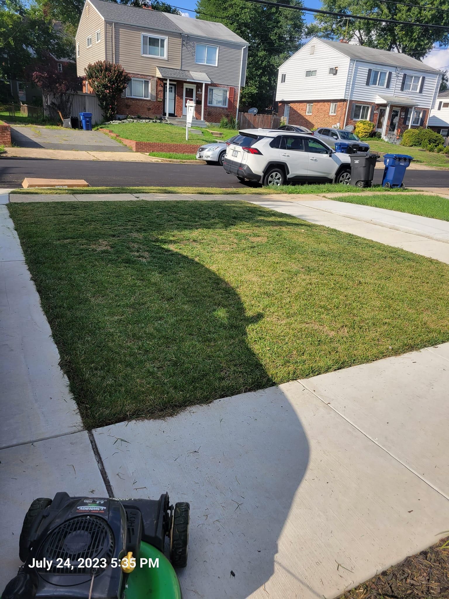 Fall and Spring Clean Up for Papayards in Arlington, VA