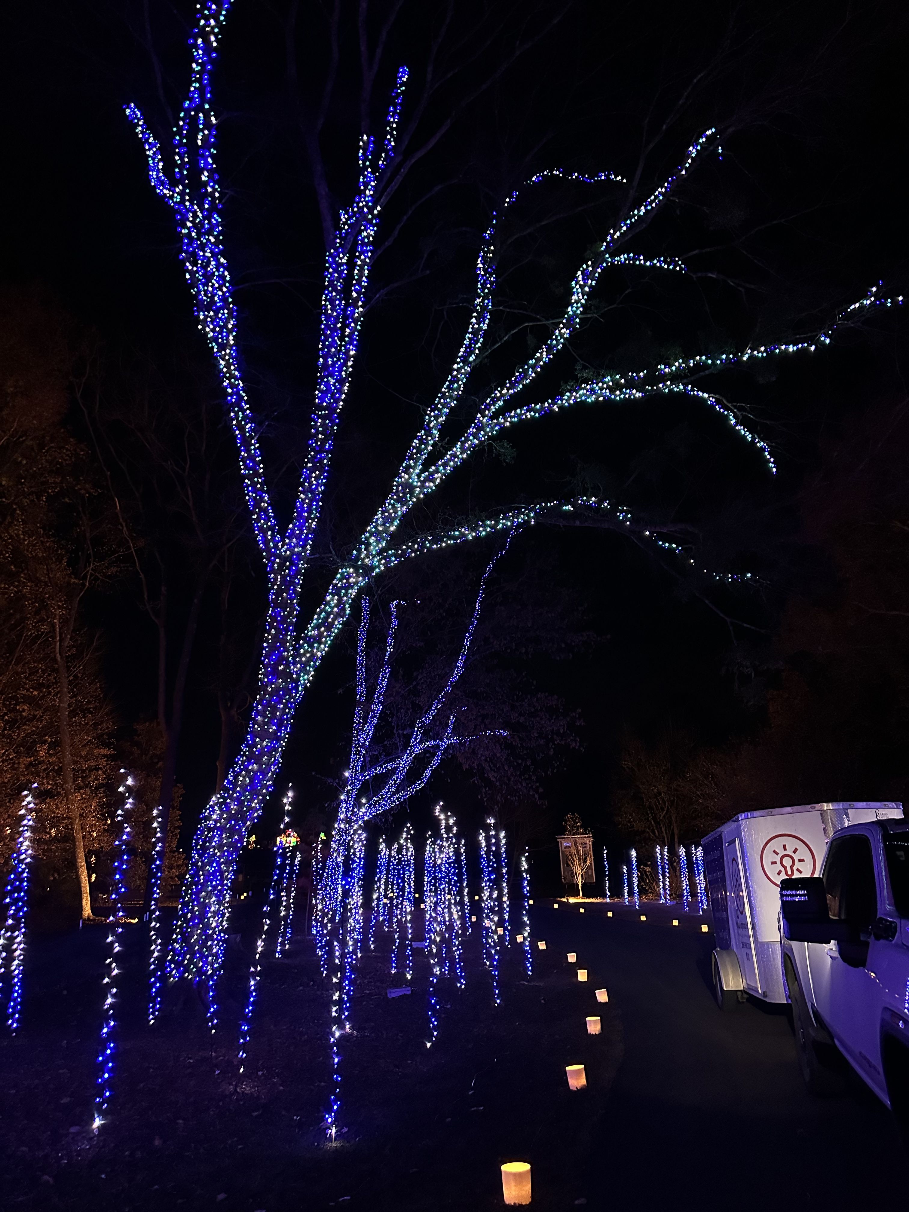  for Holiday Lighting Solutions in Huntsville, AL