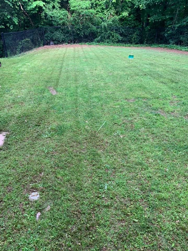 All Photos for Bega Landscape Services in Atlanta, Georgia