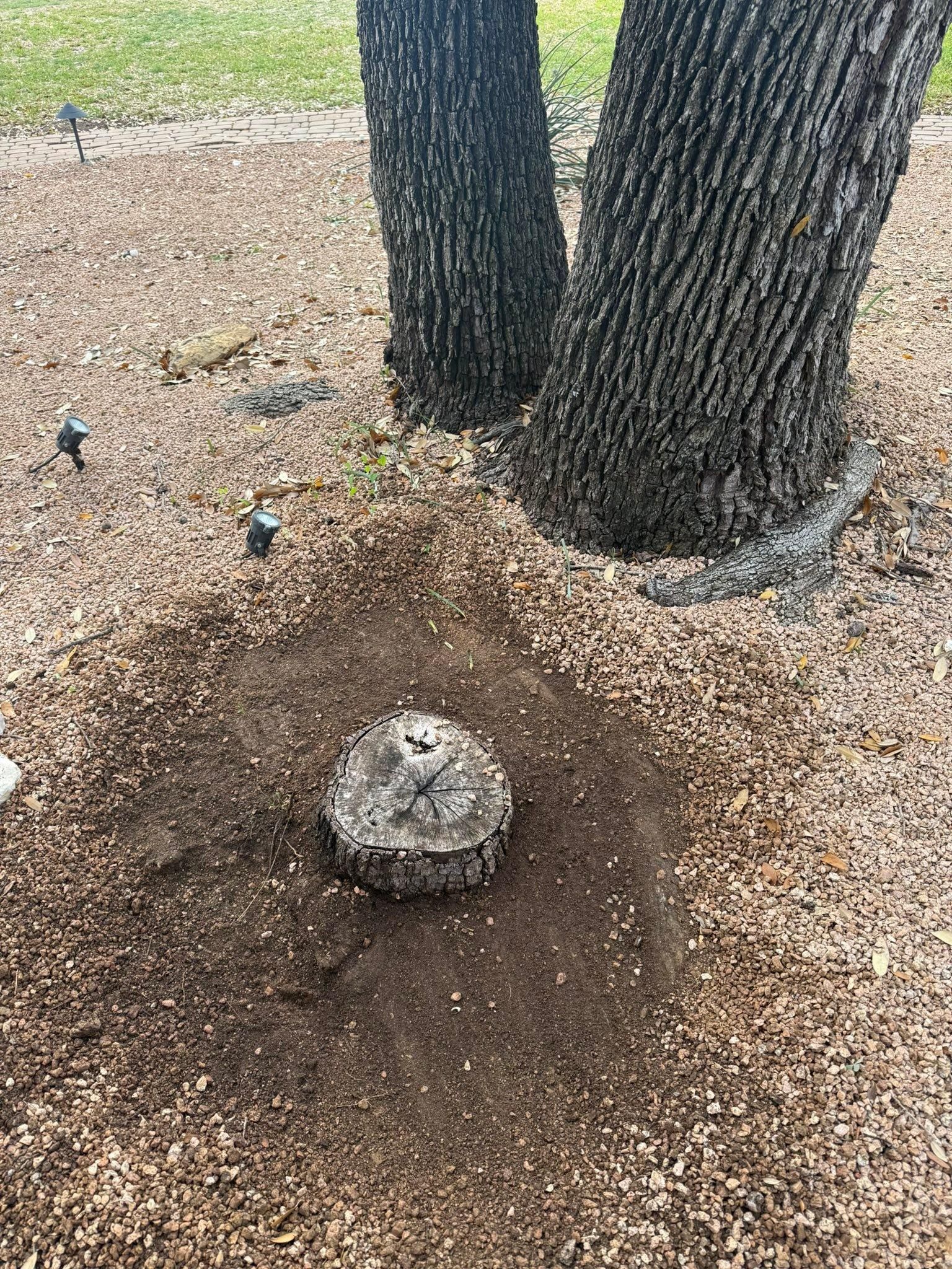 All Photos for Oakley’s Stump ‘N Grind in Leander, TX