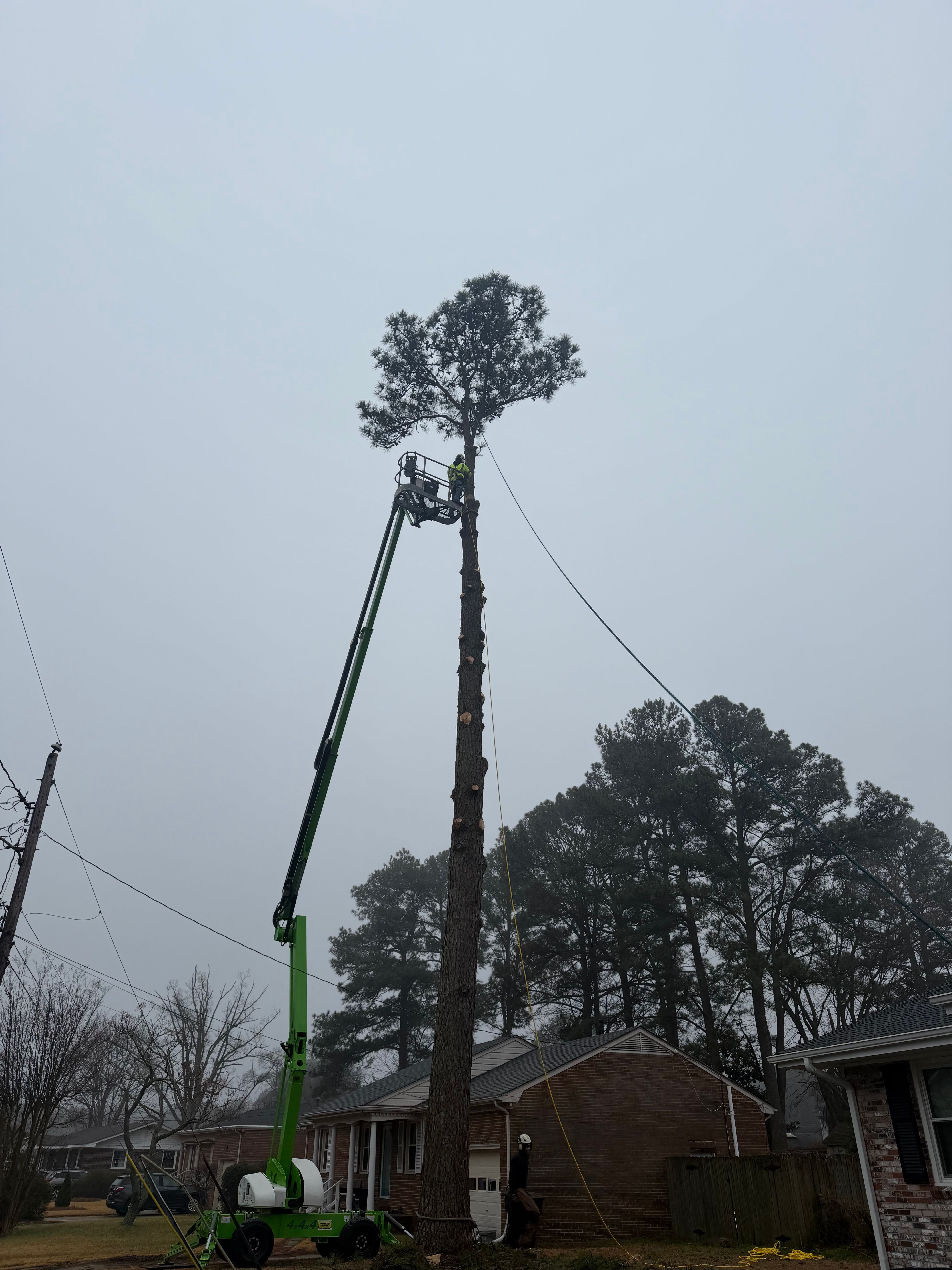  for James River Tree Service in Suffolk, VA