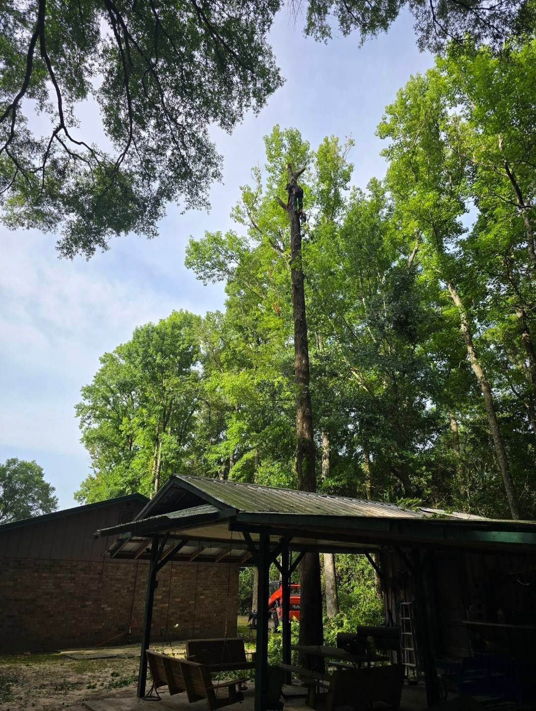  for Breaktime Tree Trimming & Removal in Oakdale, LA