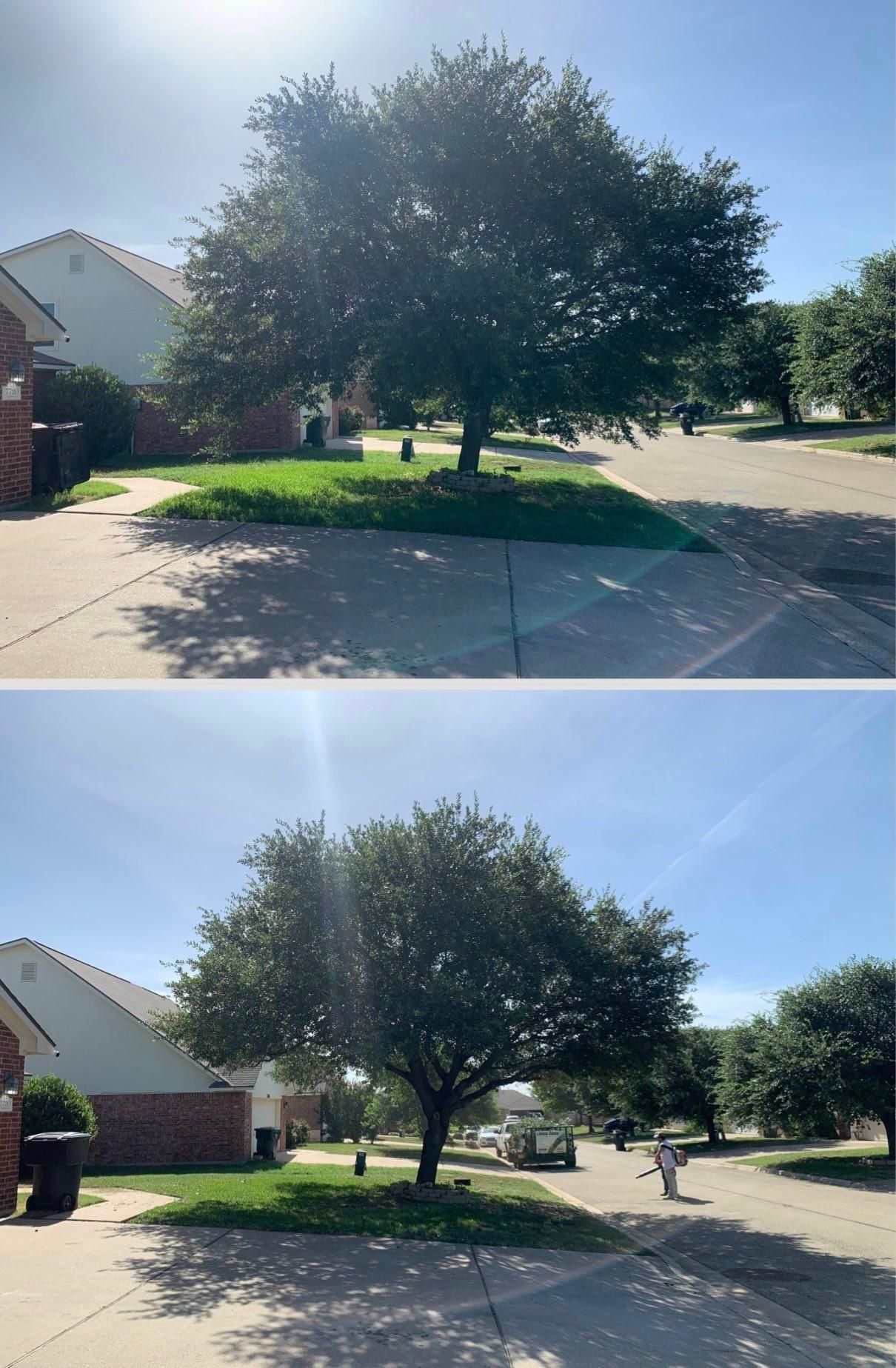  for Scalpel Lawn Service in Temple, TX