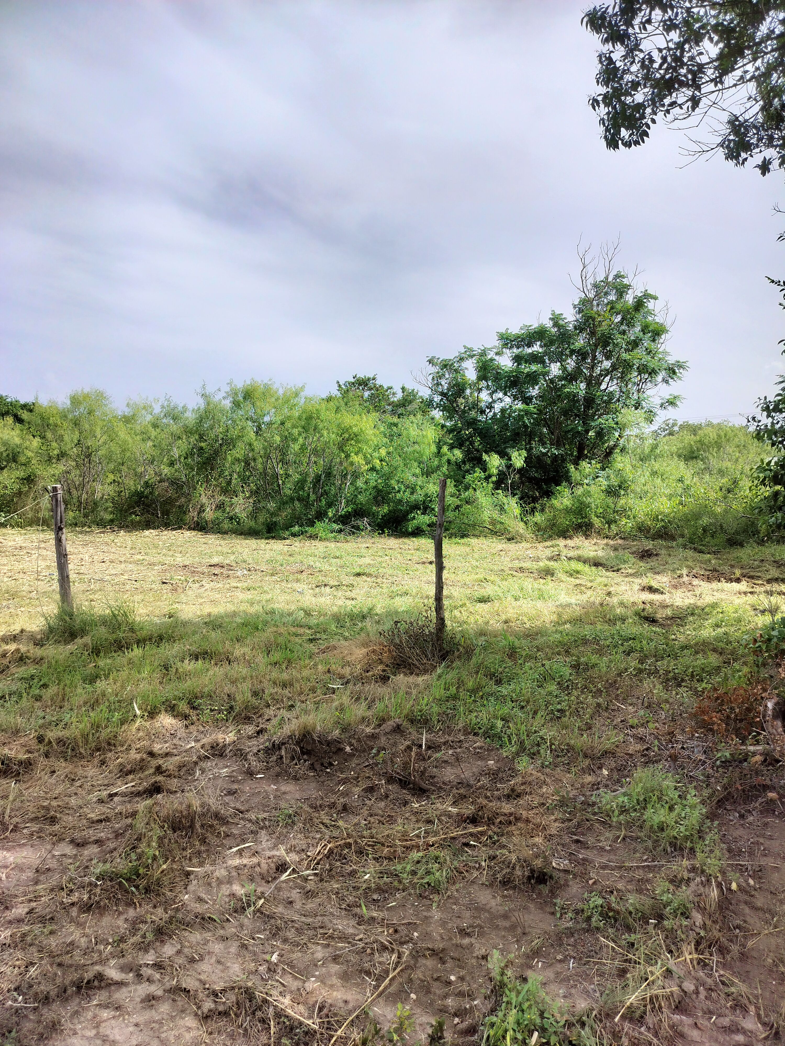  for 512 Land Clearing in Blanco County, TX