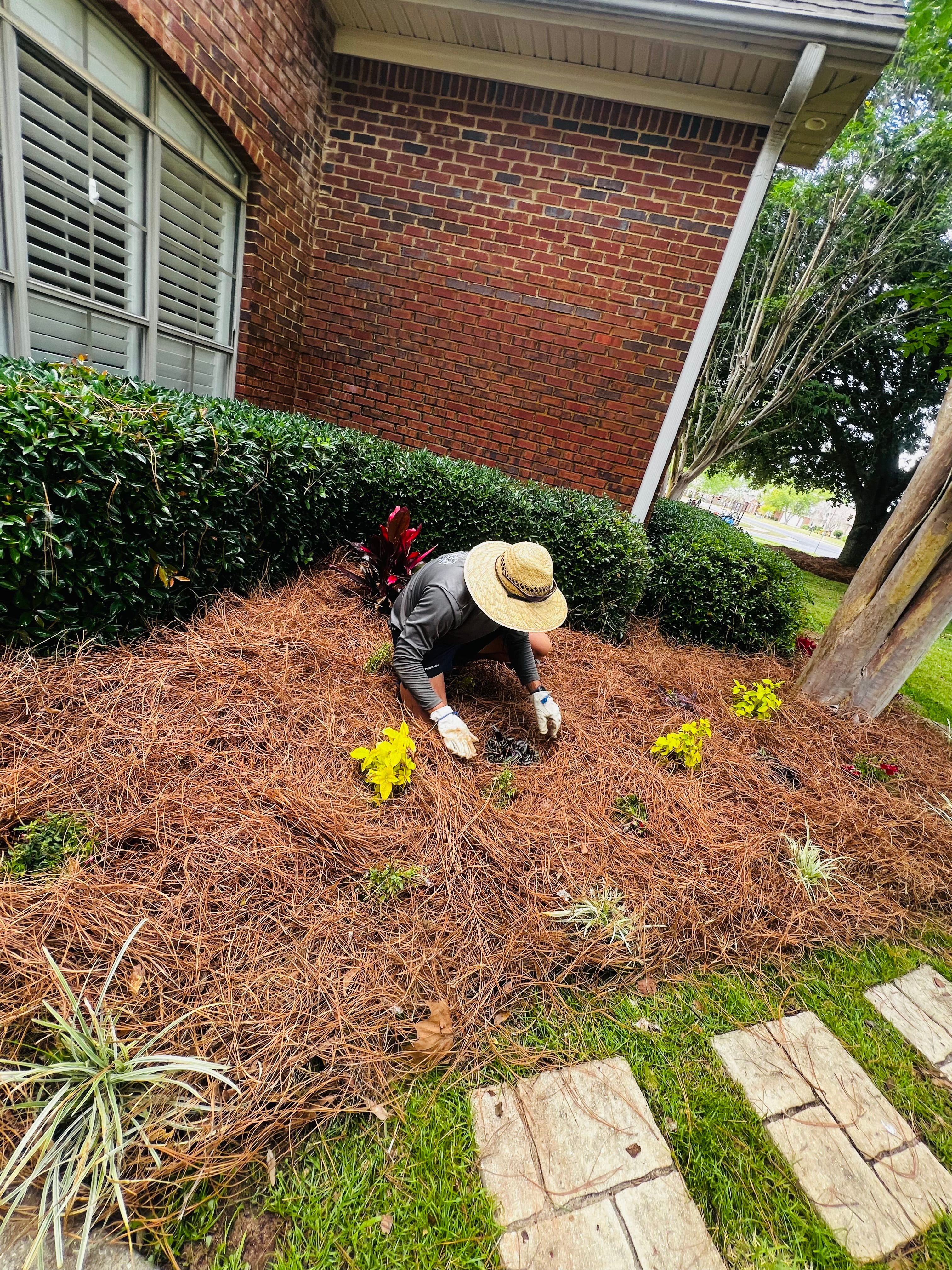  for Enhanced Landscape in Daphne, AL