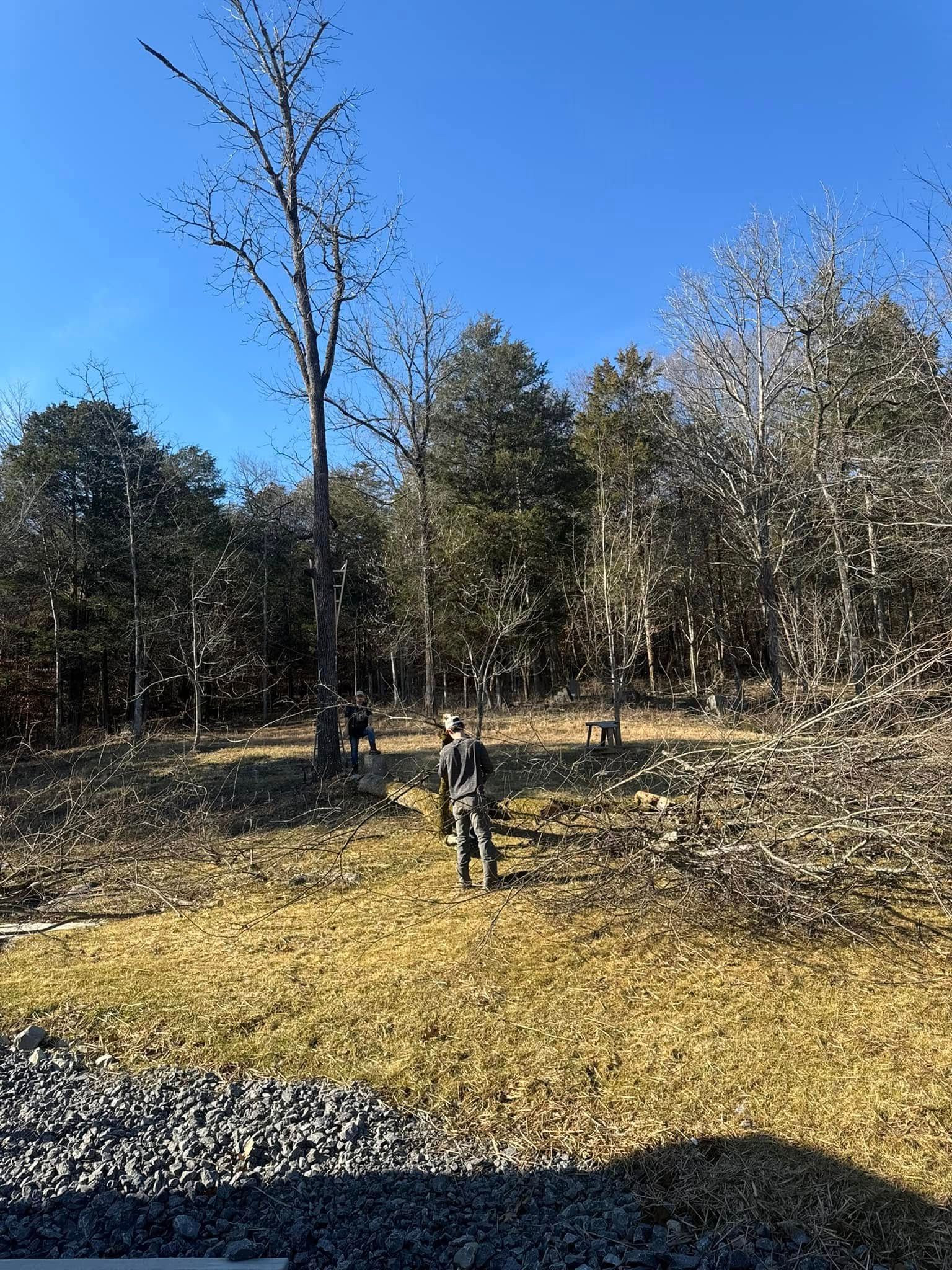  for Premier Outdoors and Land Management in Baxter, TN