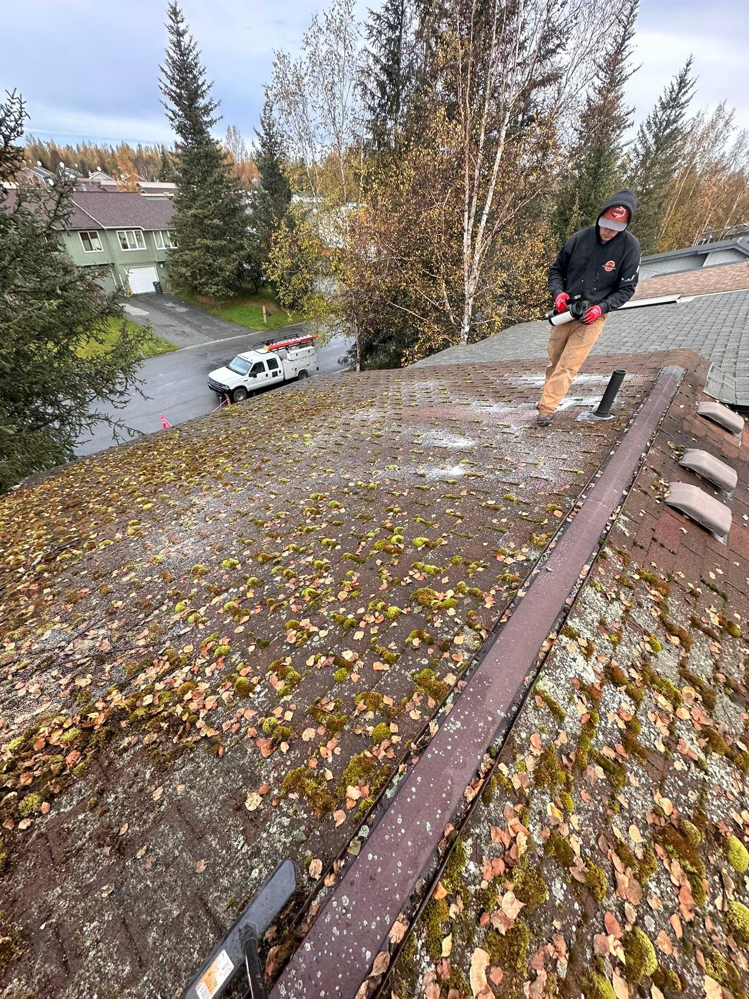 All Photos for Alaskan Residential Rescue in Anchorage, AK