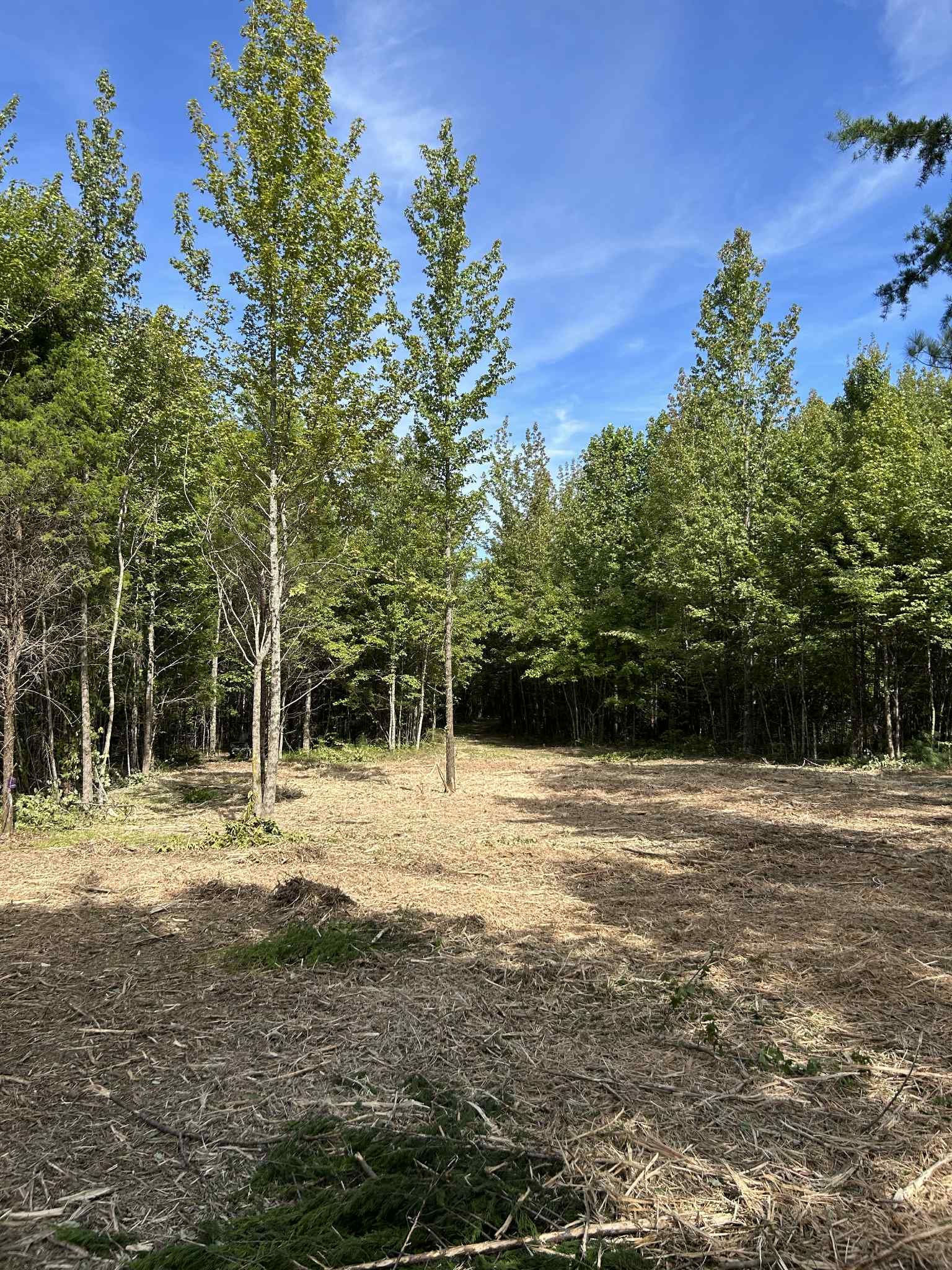  for Z's Land Management & Forestry Mulching in Smithville, TN