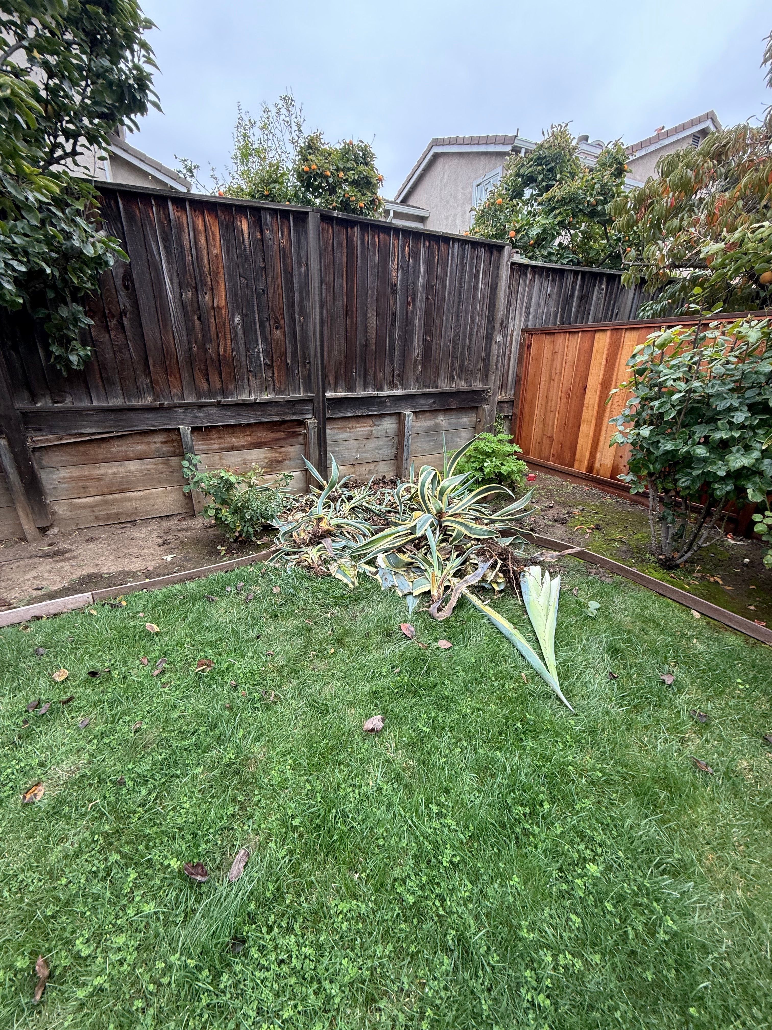  for CBA Landscaping in Hayward, CA