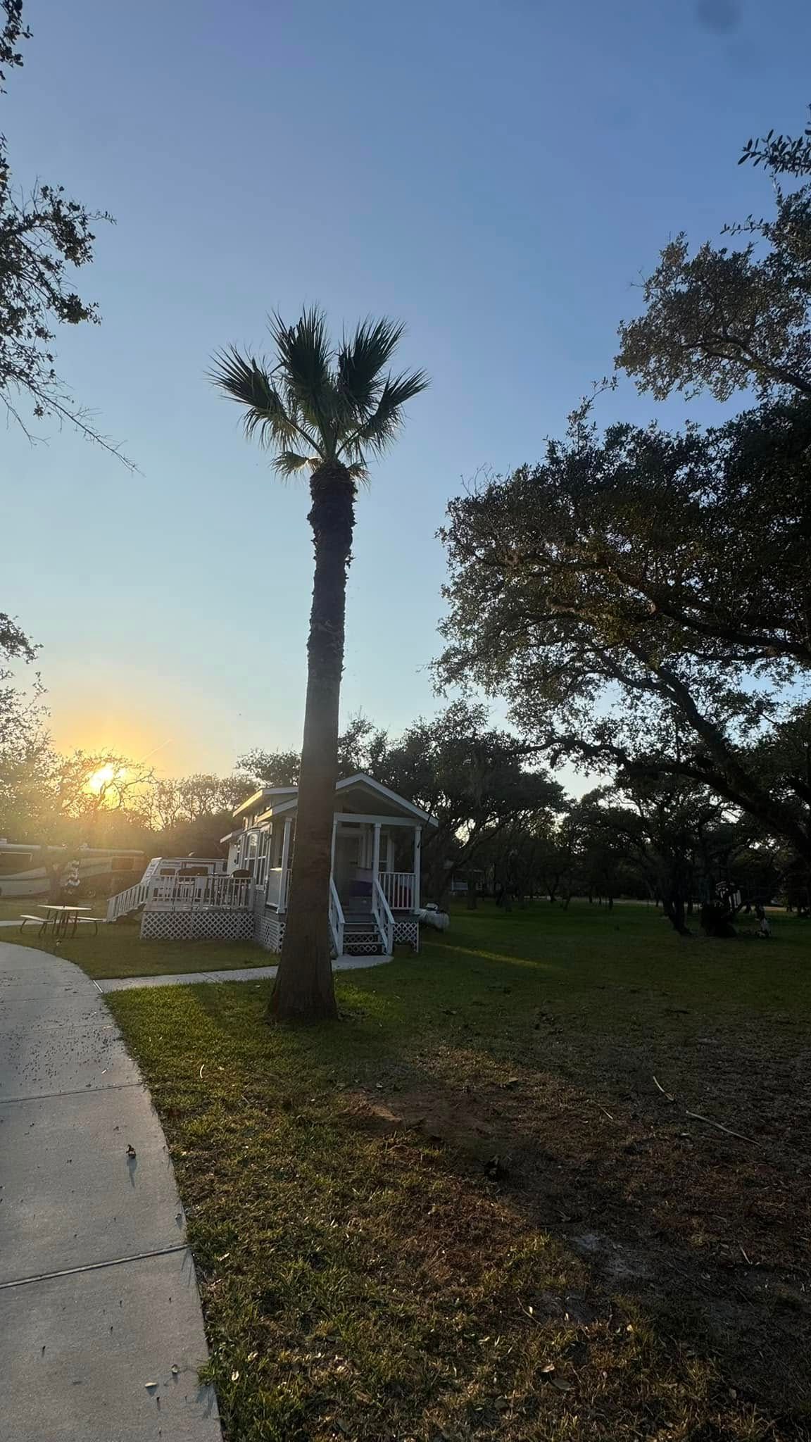  for CRM Palm & Landscaping in Rockport, TX