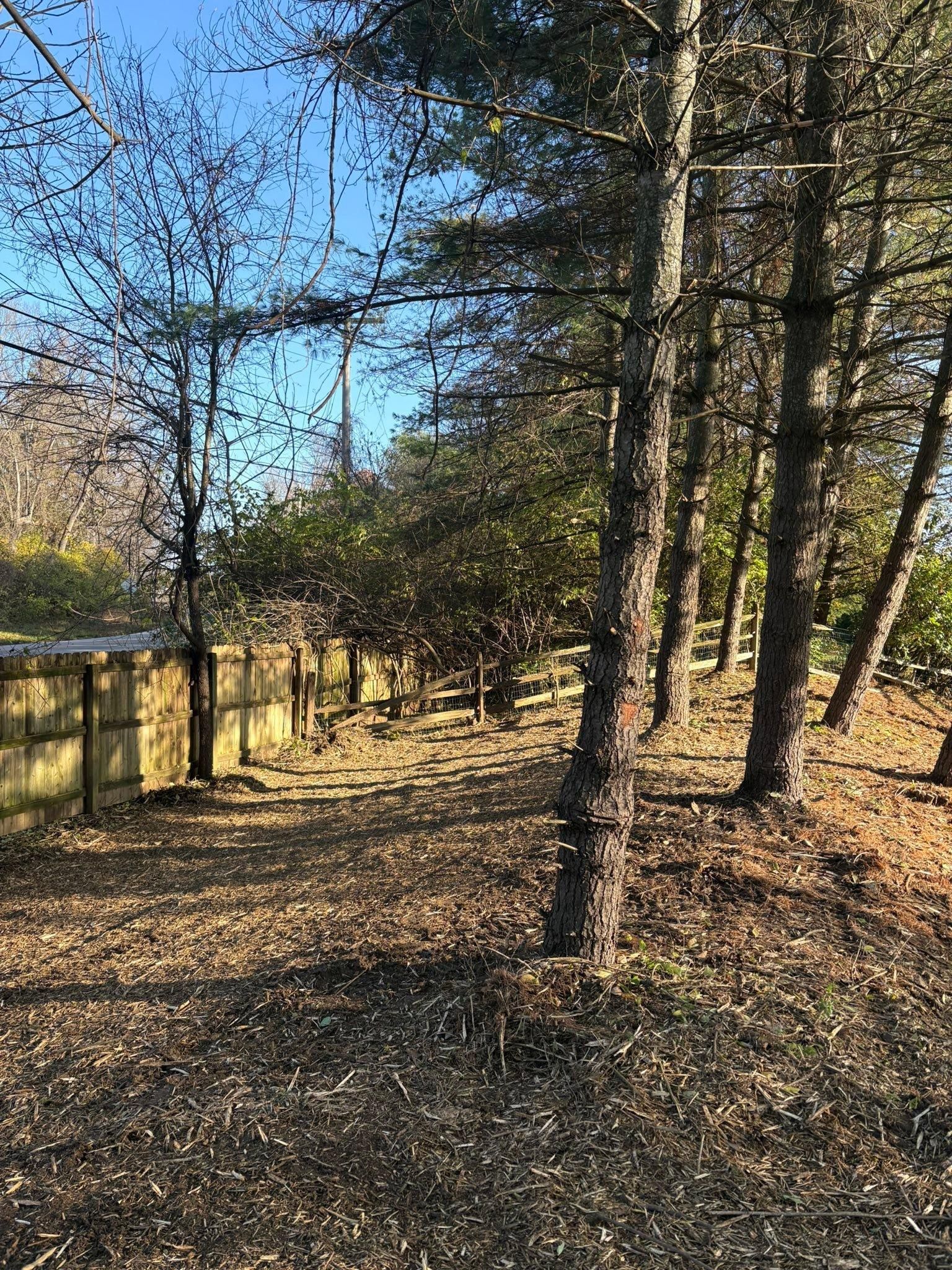  for Dig-It Tree Company in Mason, OH