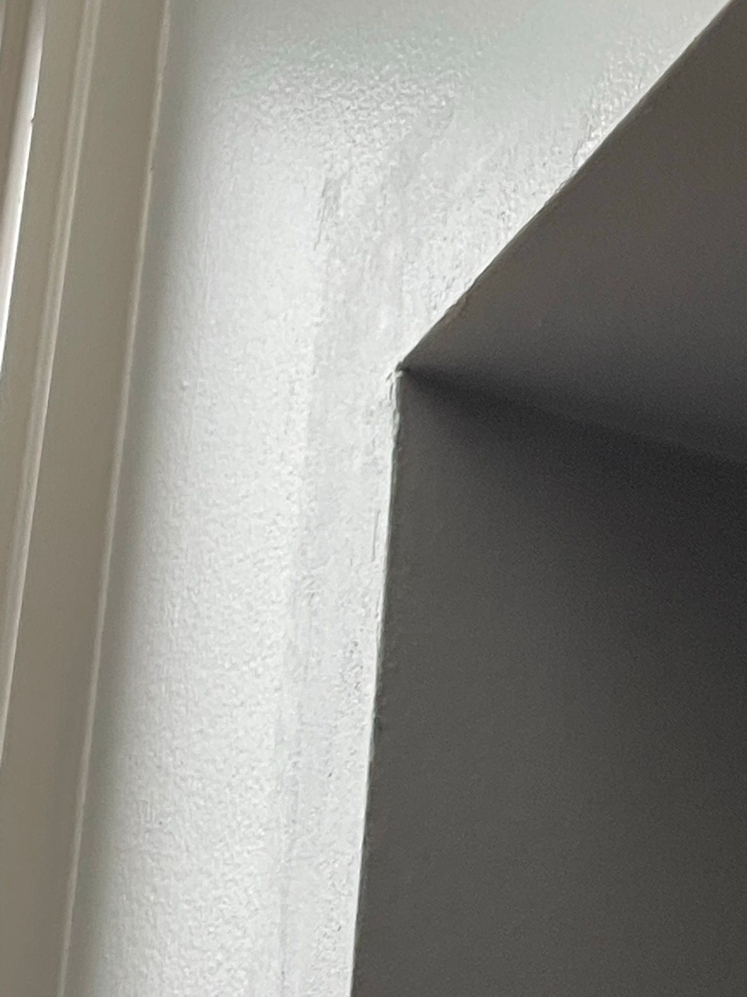  for Tony's Remodeling & Painting in Renton, WA