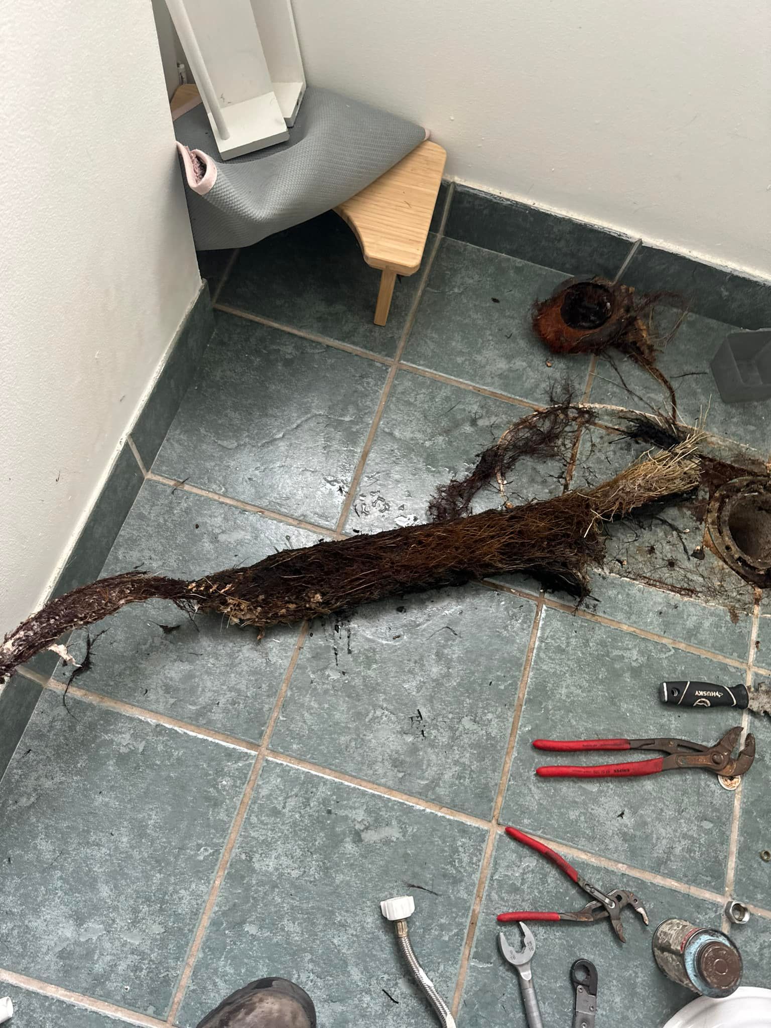  for Mike's Drain Cleaning in Jupiter, FL
