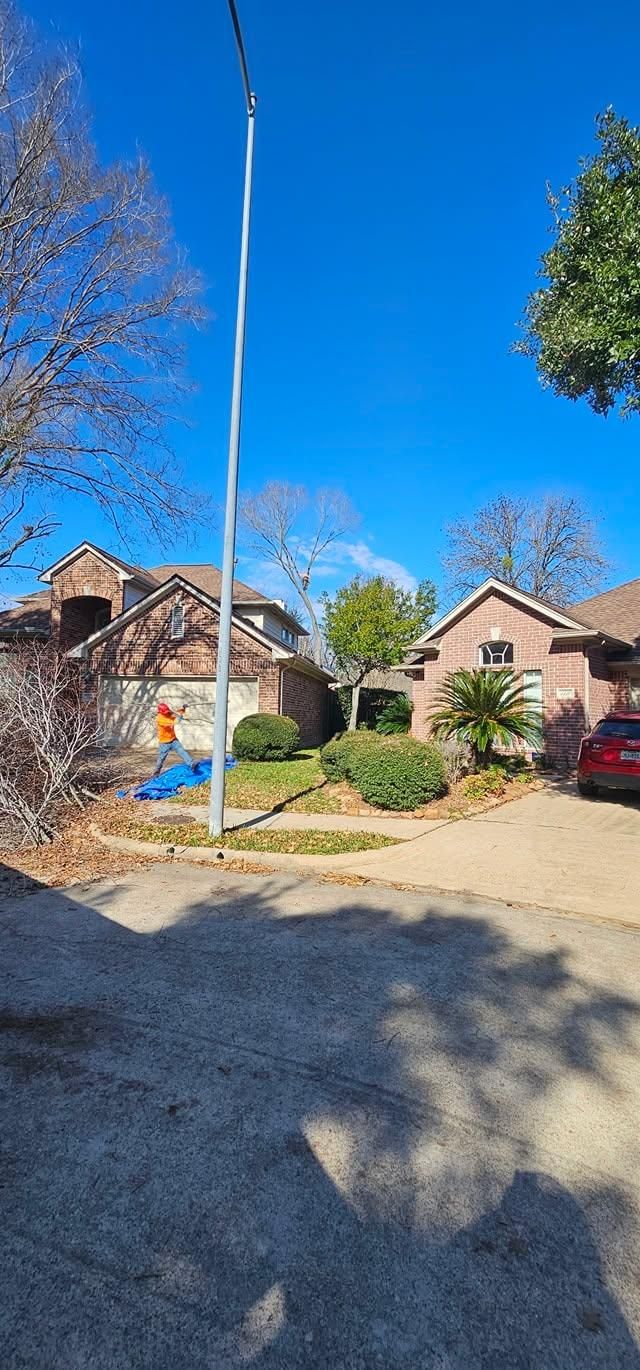  for Servin's Tree Care  in Houston, TX