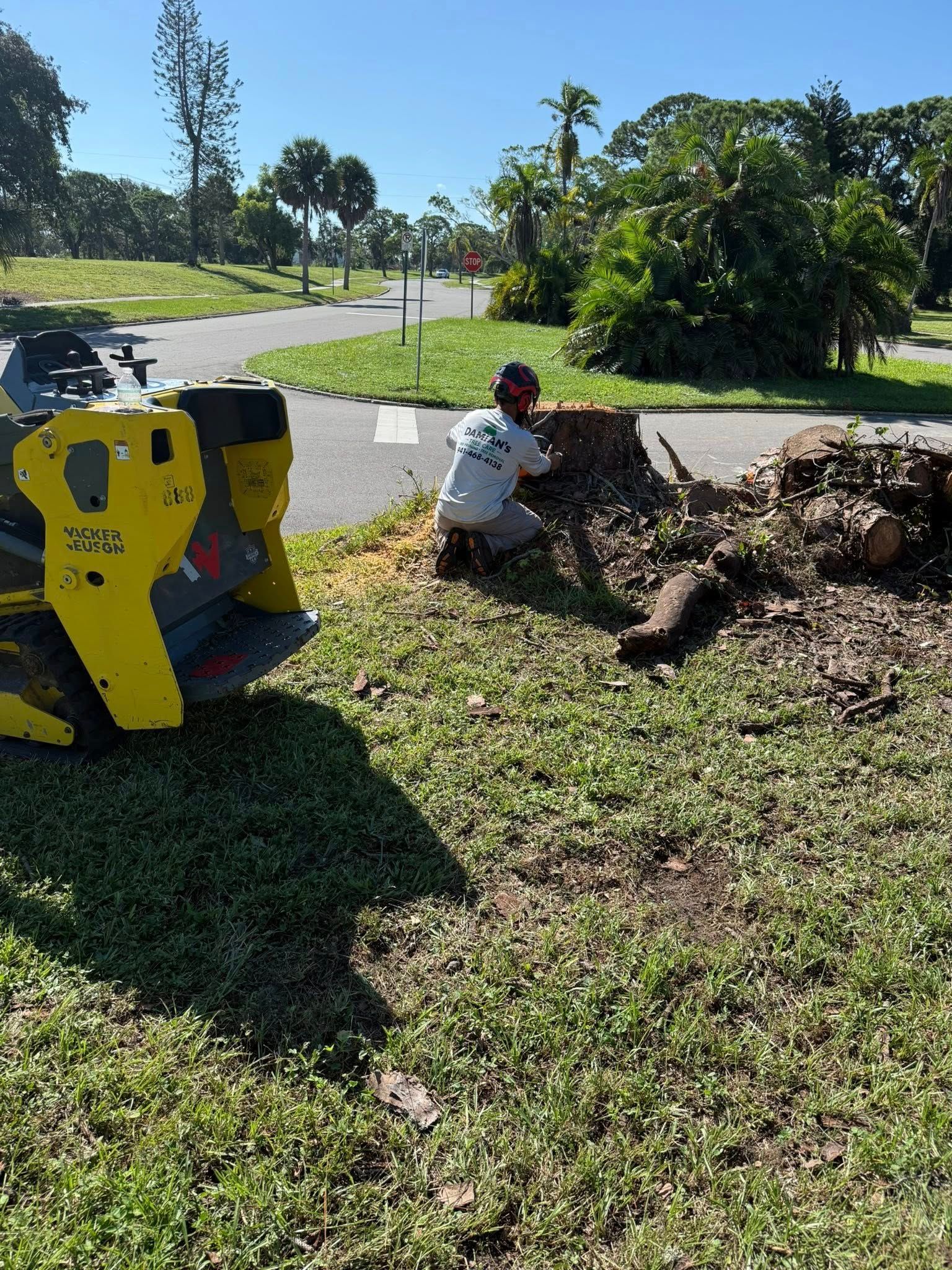  for Damian’s Tree Care in Sarasota, FL