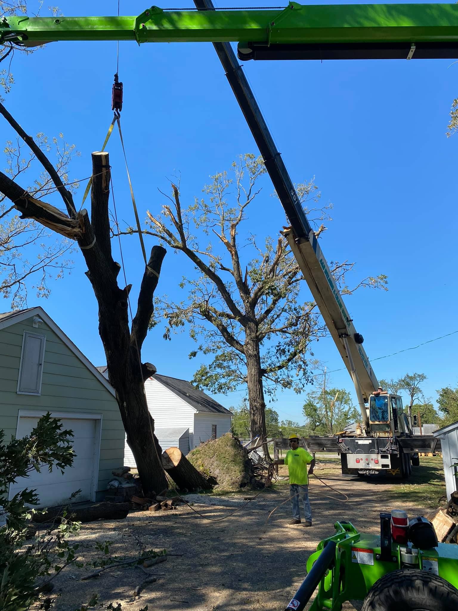 Tree Removal for Allstate Tree Service in Fridley, MN