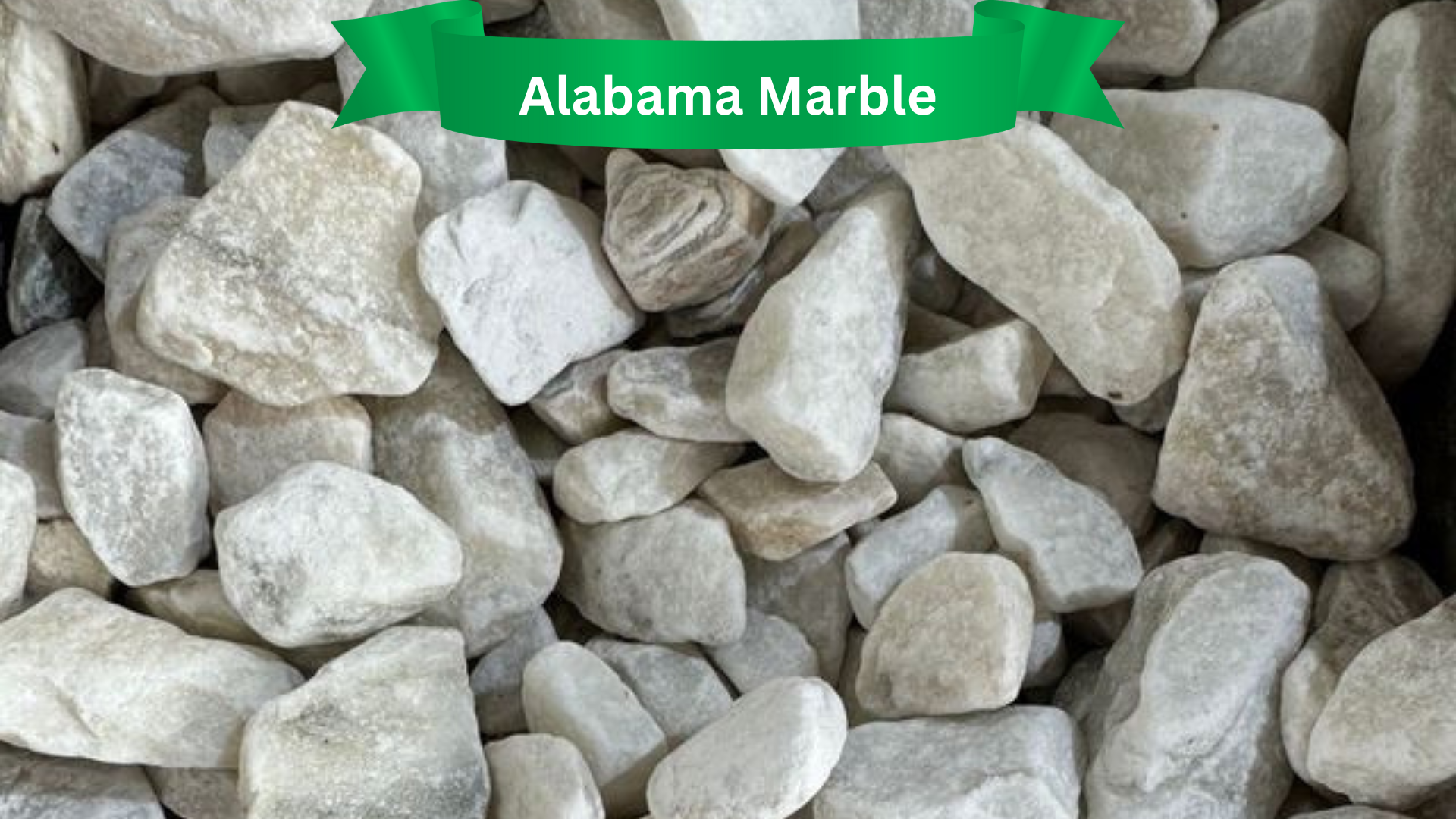  for R.B. & Company in Belleview, FL