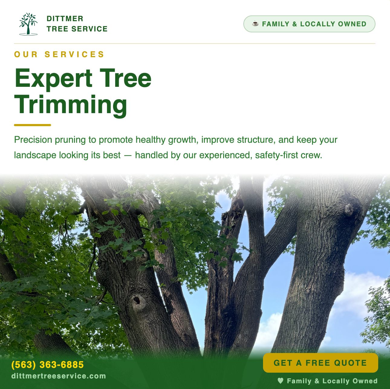 All Photos for Dittmer Tree Service in Davenport, IA