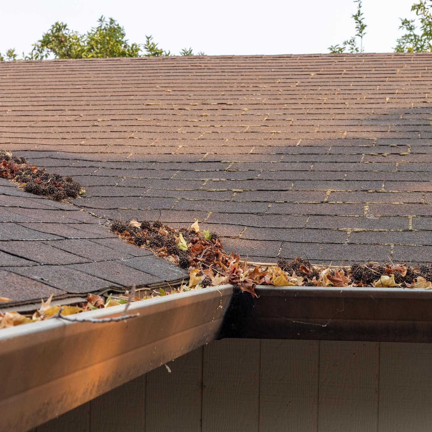  for Signature Property Care in Greater Sudbury, ON