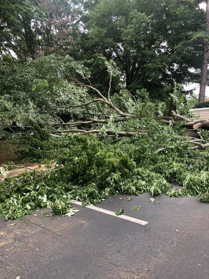  for North Meck Tree & Grounds Specialist in Huntersville, NC