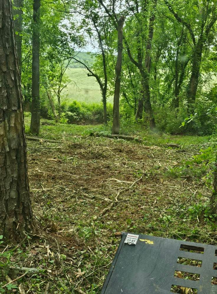 Excavating for Whaley Land Development in Athens, TN