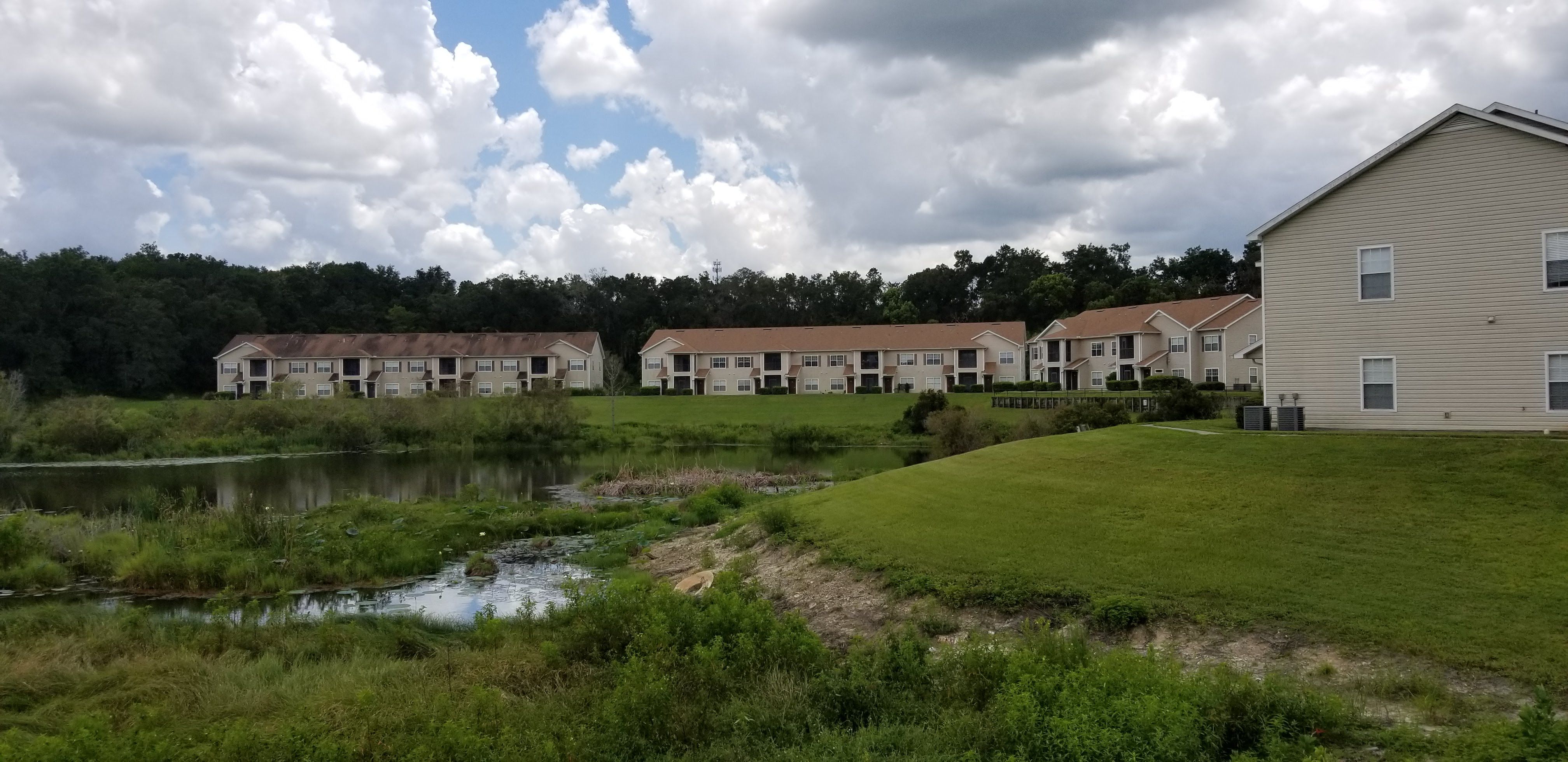  for Blue Stream Roof Cleaning & Pressure Washing in Tampa, FL