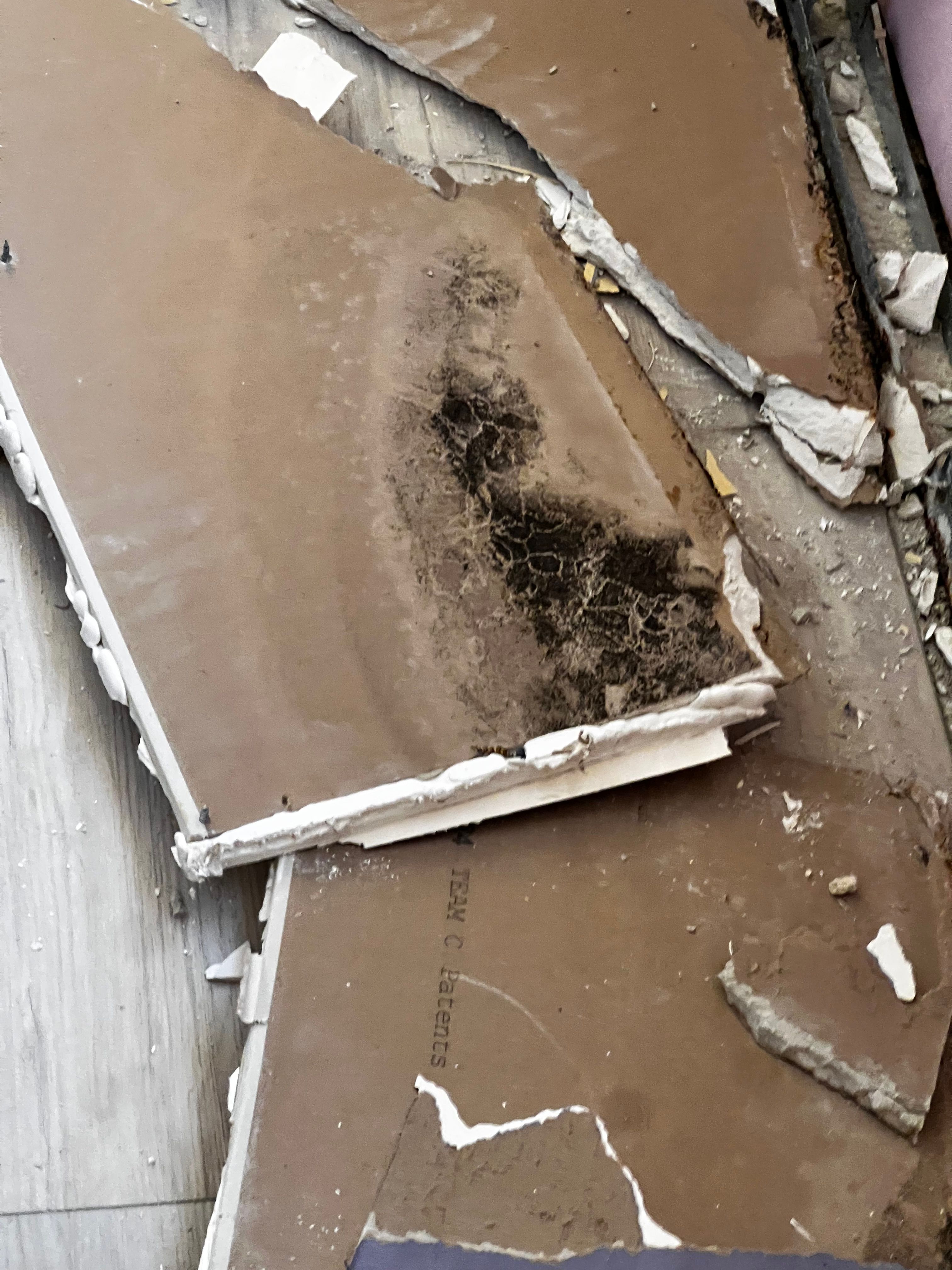  for N&D Restoration Services When Disaster Strikes, We Come In in Cape Coral,  FL