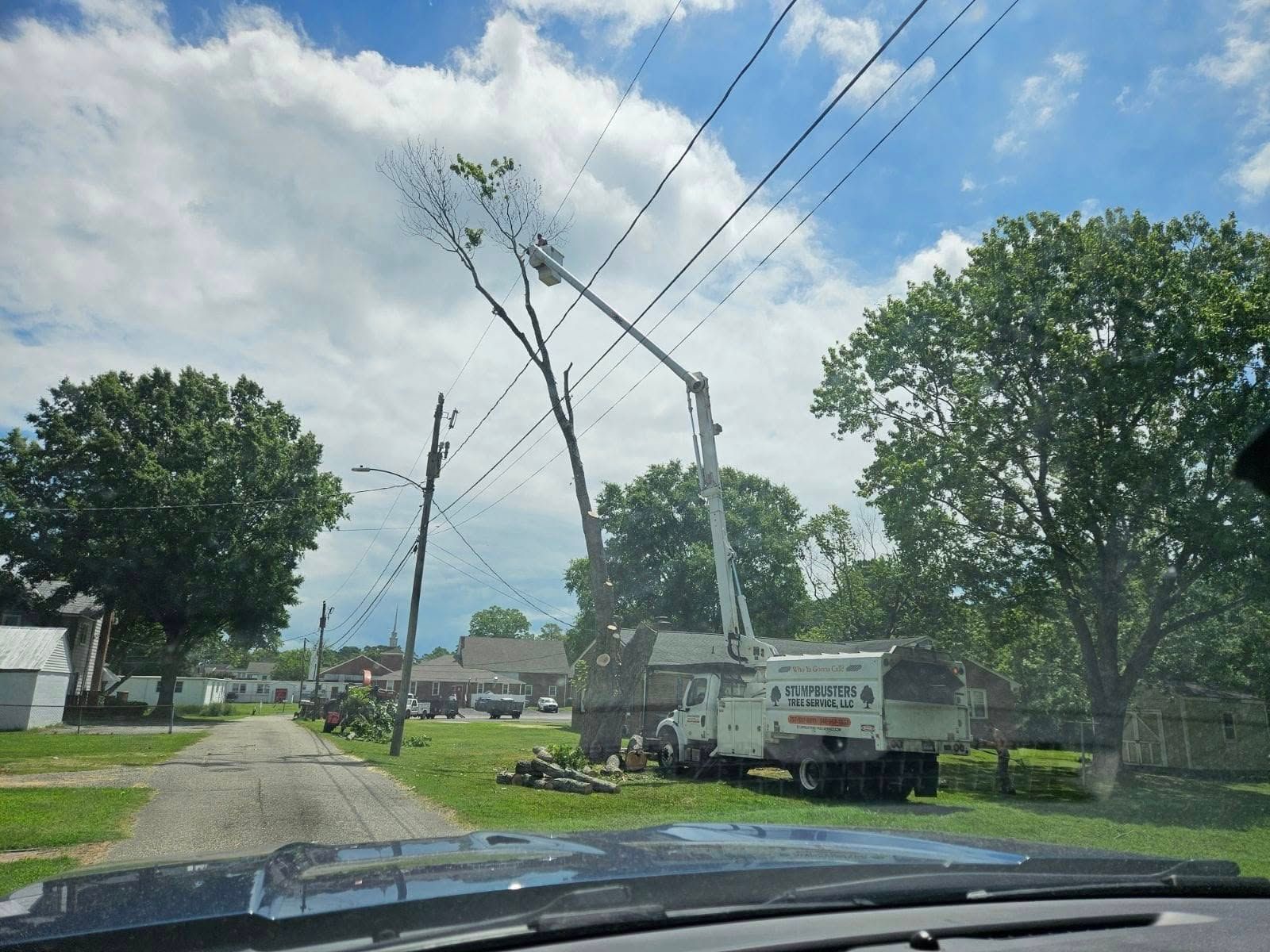  for Stumpbusters Tree Service in Louisa County, VA