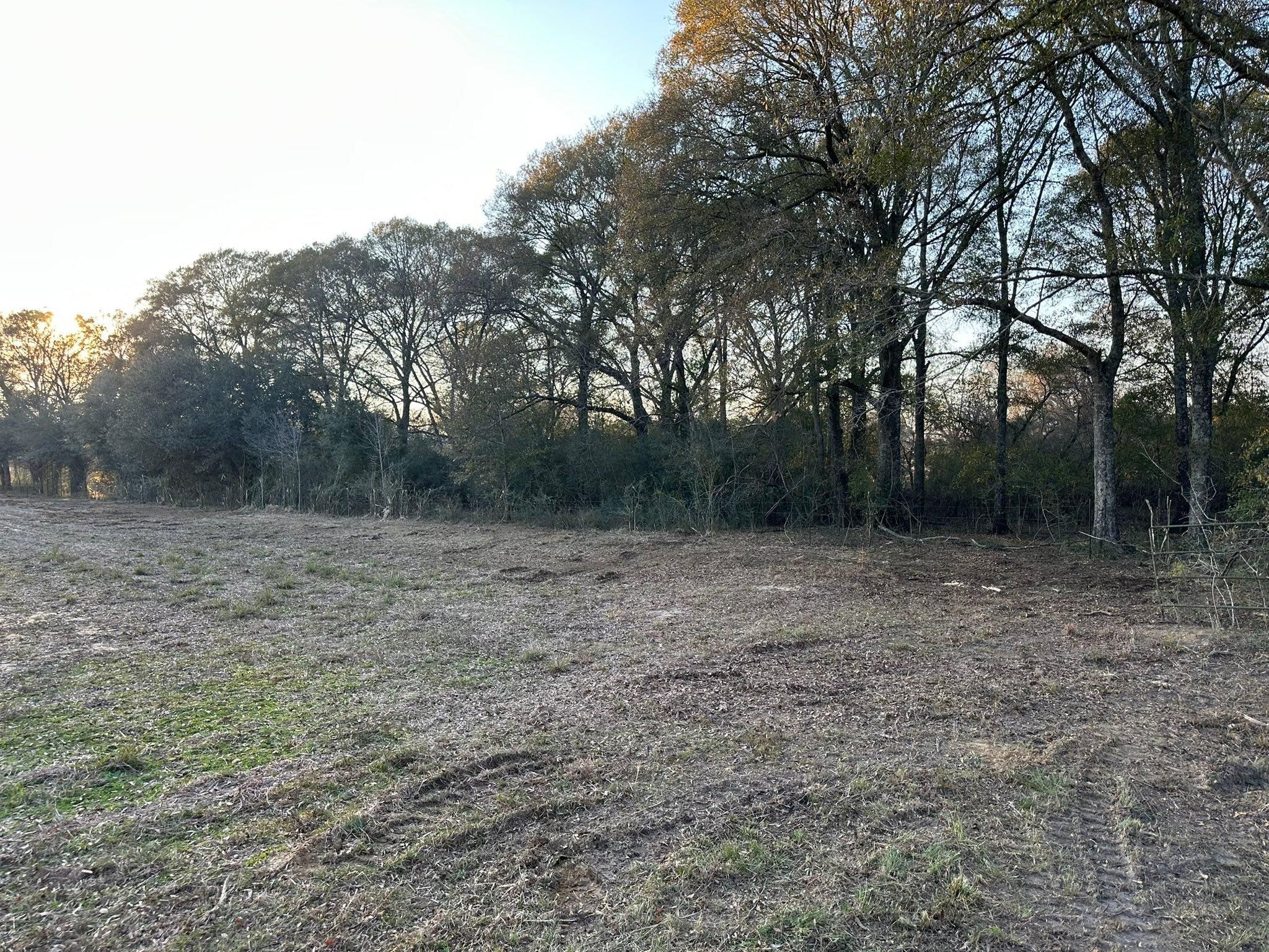  for White’s Land Maintenance in Milton,, FL