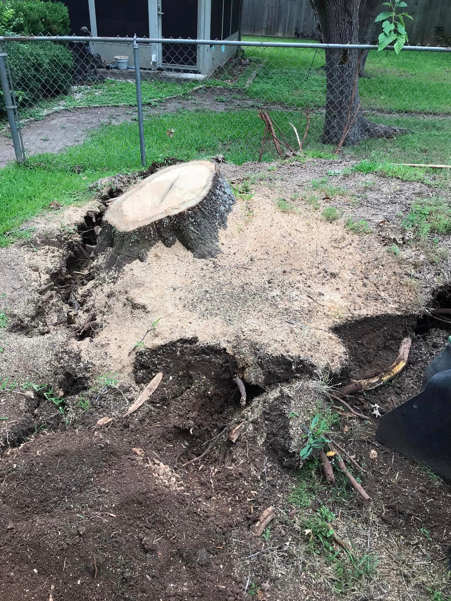  for Camerons Stump Grinding & Tree Services in Austin, TX