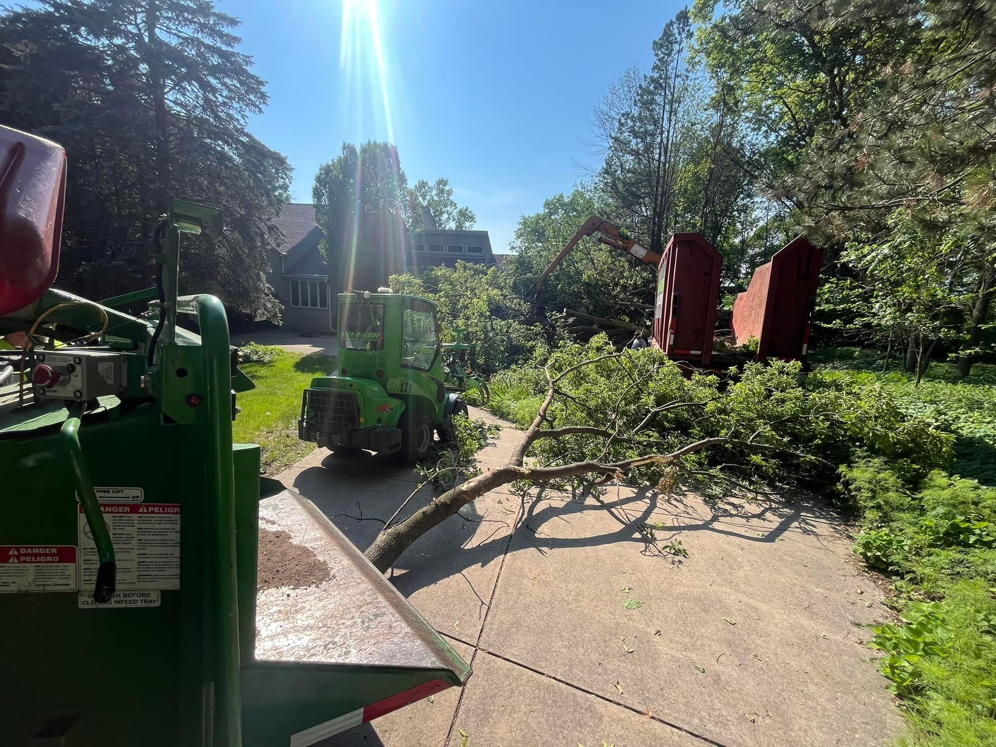  for Tree-B-Gone in Appleton, WI