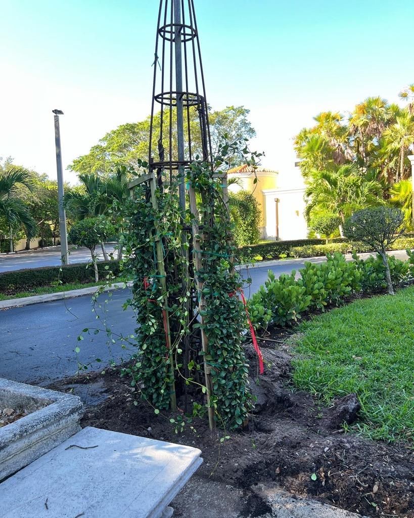 Tree Trimming and Removal for Rey Landscaping & Lawn service LLC in West Palm Beach,  FL