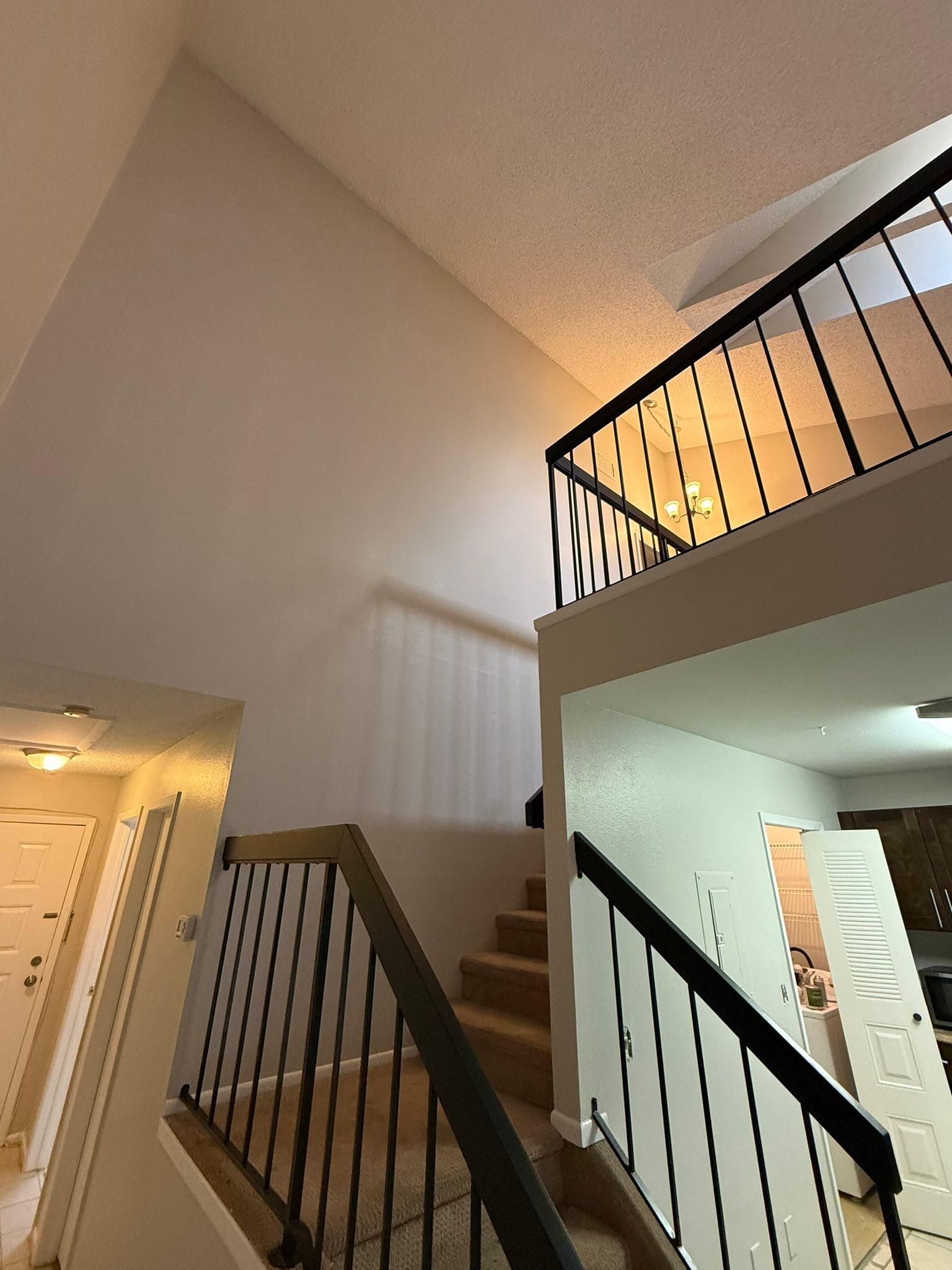  for Escorpio Painting in Tampa, FL