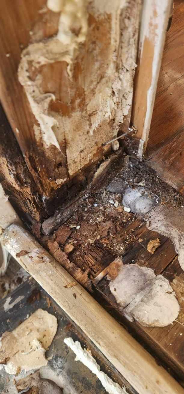  for Integrity Home Improvements & Renovations in Columbia, Tennessee