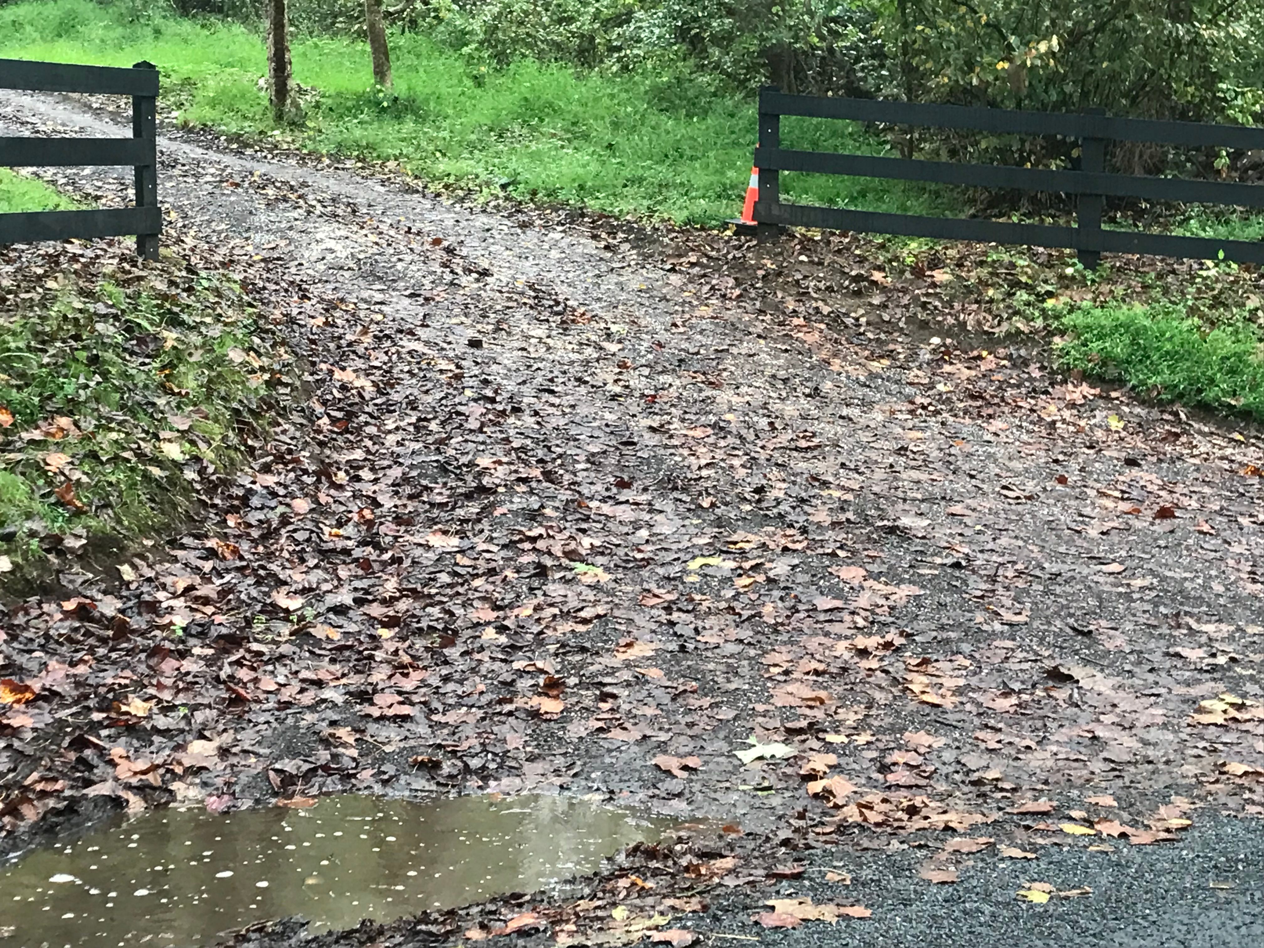  for 9999 Building and Renovation LLC in Warrenton, VA