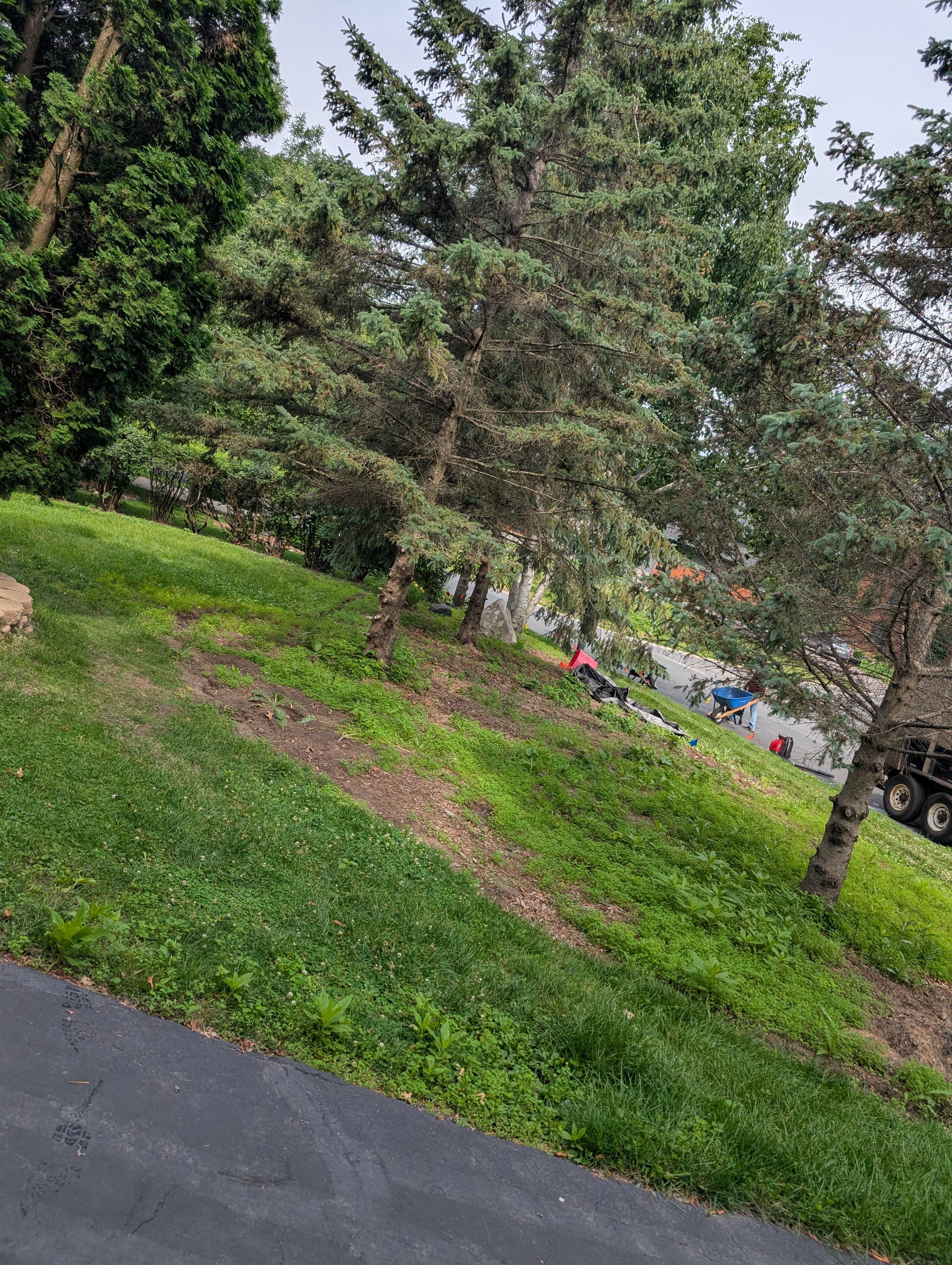  for Urban Green Lawncare & Snow Removal in Lakeville, MN
